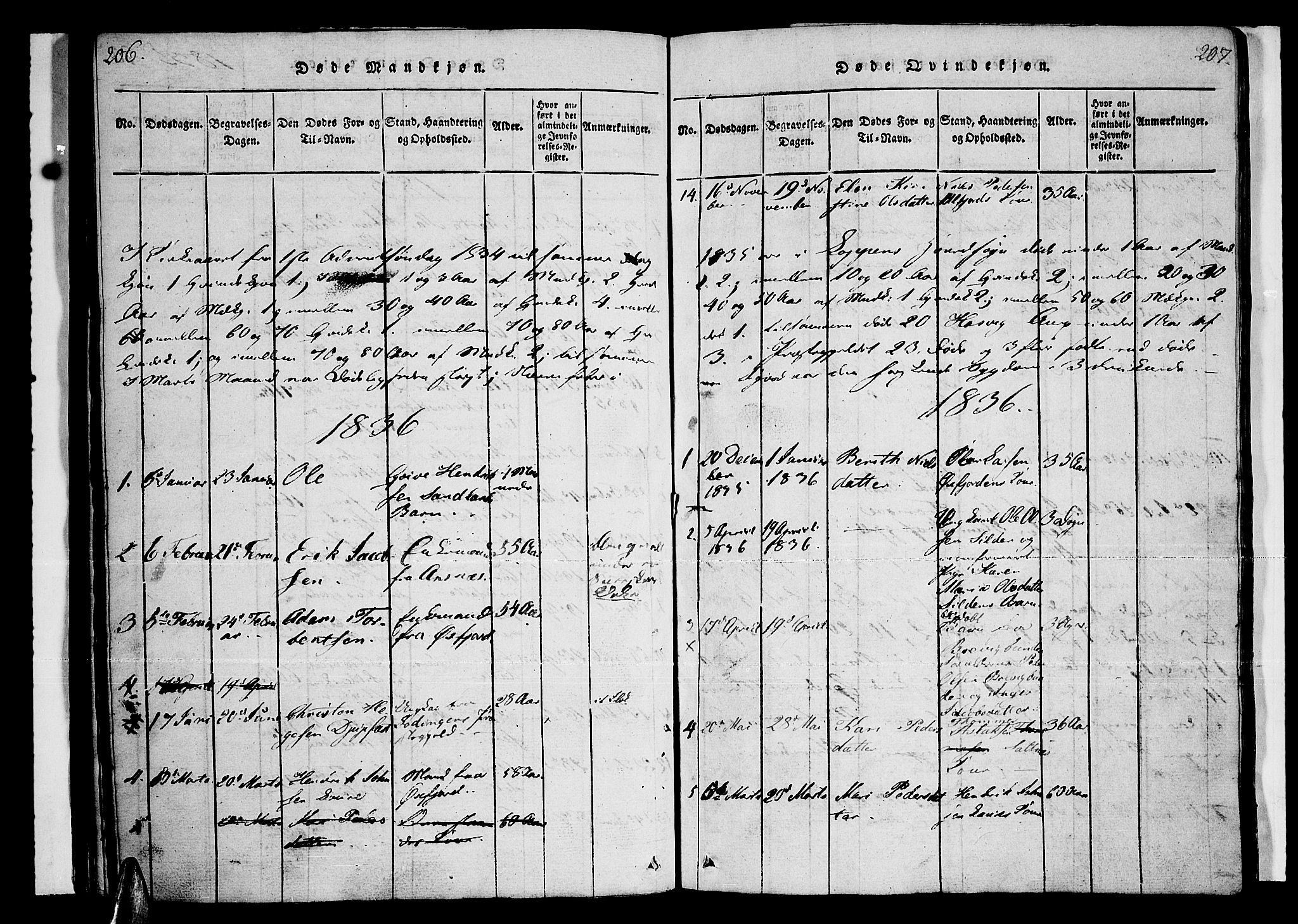 Loppa sokneprestkontor, AV/SATØ-S-1339/H/Ha/L0003kirke: Parish register (official) no. 3, 1820-1848, p. 206-207