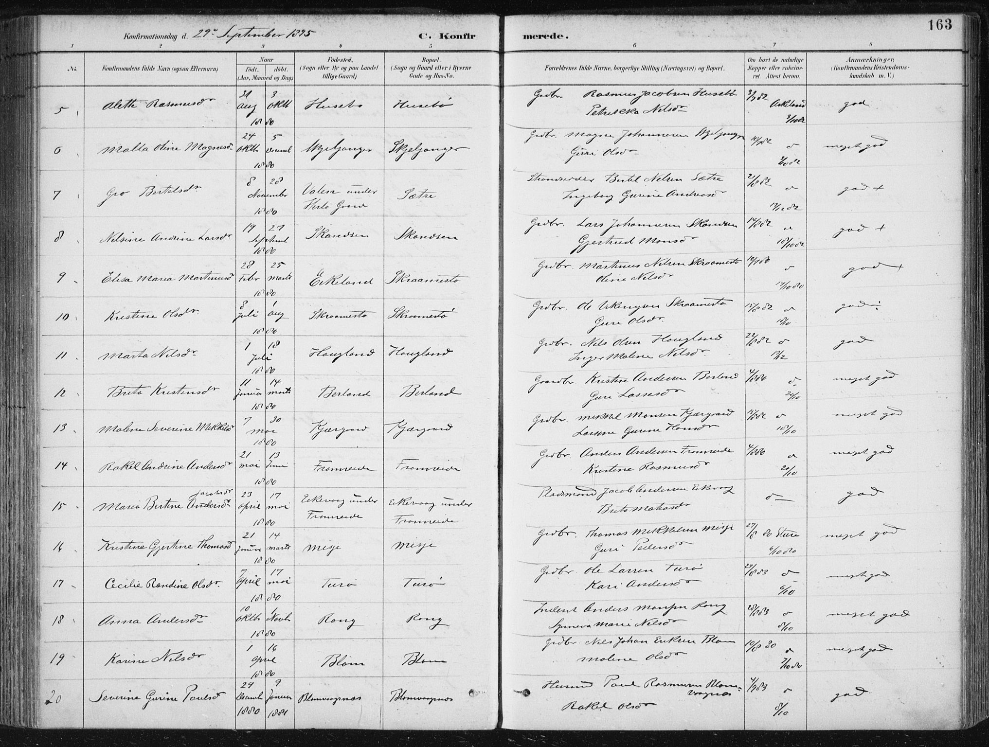 Herdla Sokneprestembete, SAB/A-75701/H/Haa: Parish register (official) no. A 4, 1891-1905, p. 163