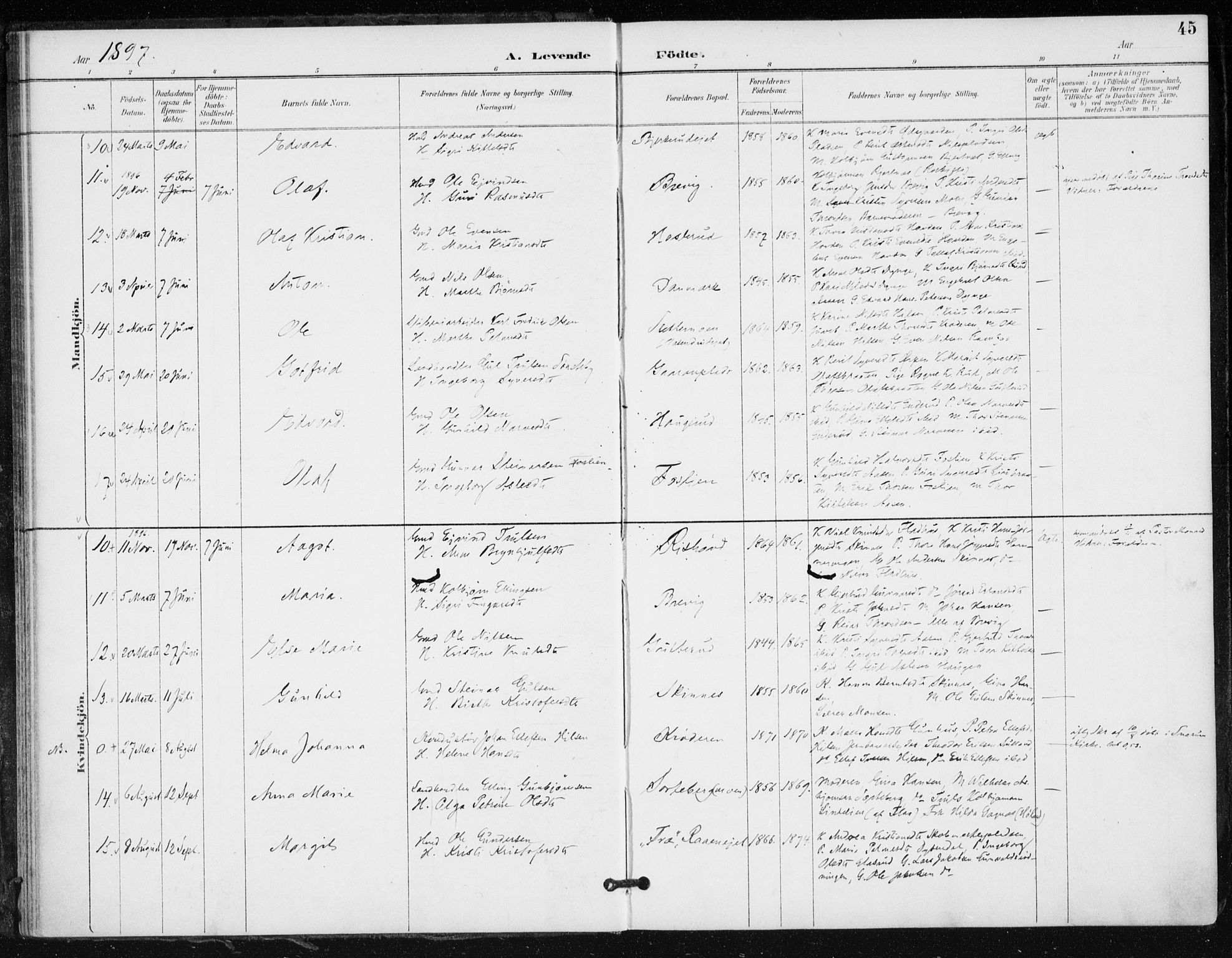 Krødsherad kirkebøker, AV/SAKO-A-19/F/Fa/L0006: Parish register (official) no. 6, 1889-1899, p. 45