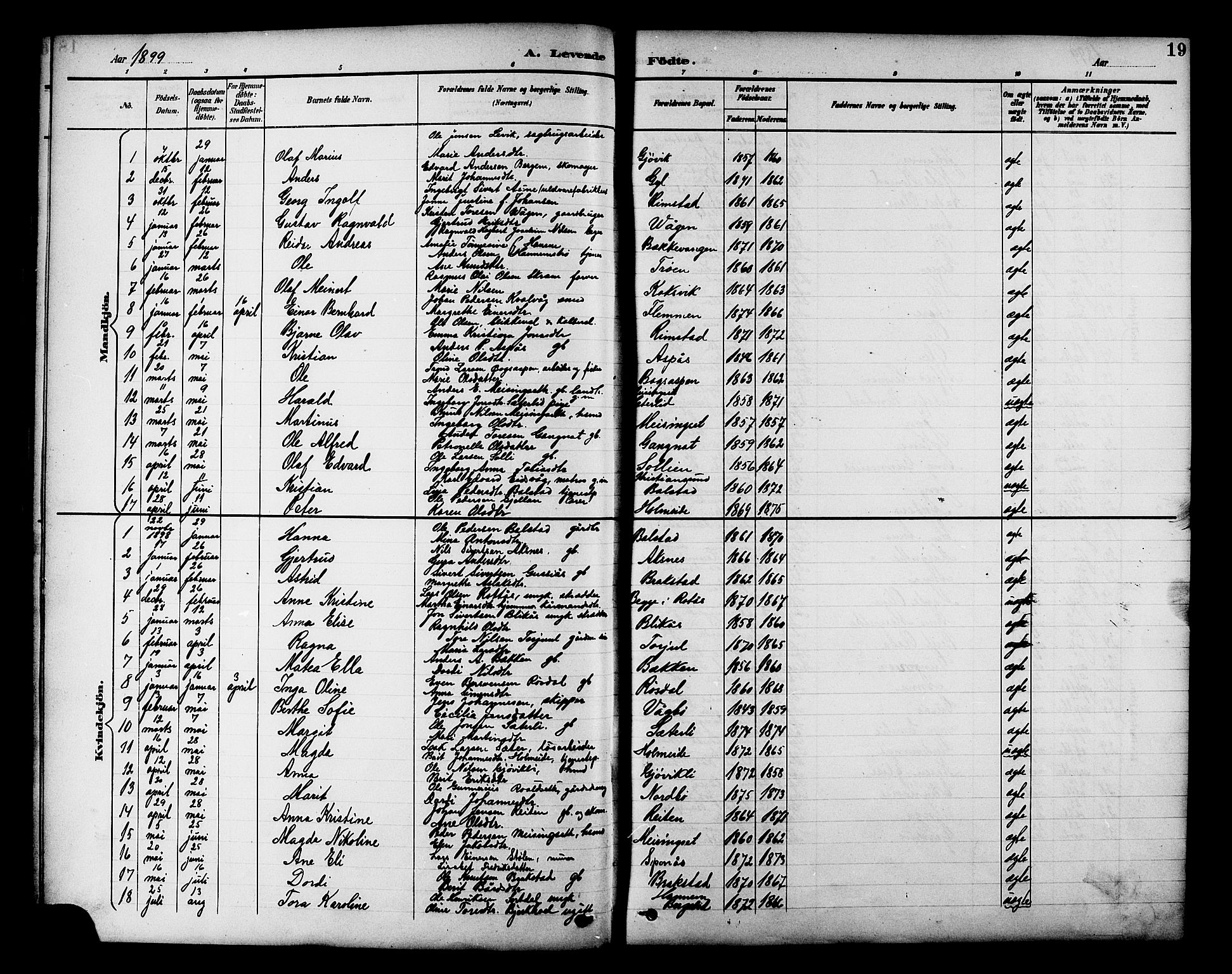 Ministerialprotokoller, klokkerbøker og fødselsregistre - Møre og Romsdal, AV/SAT-A-1454/586/L0992: Parish register (copy) no. 586C03, 1892-1909, p. 19