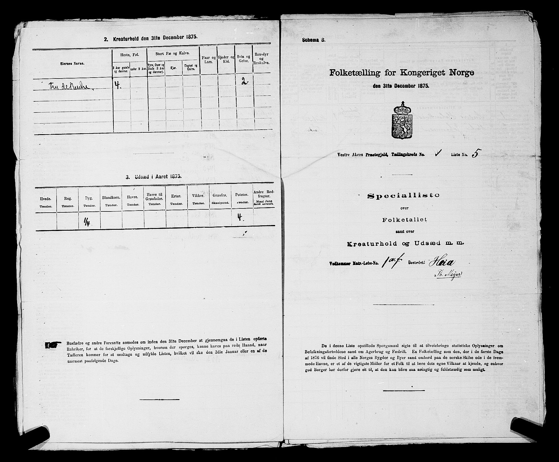 RA, 1875 census for 0218aP Vestre Aker, 1875, p. 161