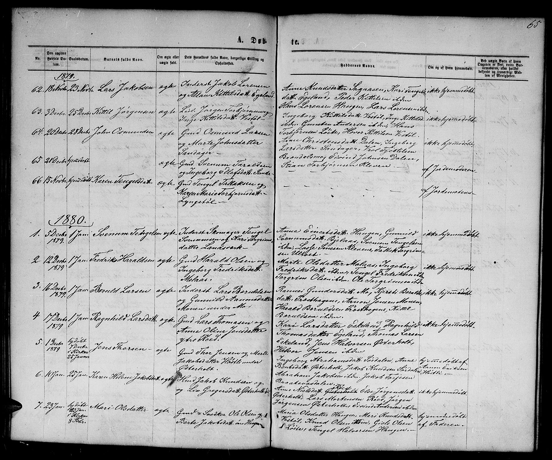 Gjerstad sokneprestkontor, SAK/1111-0014/F/Fb/Fba/L0006: Parish register (copy) no. B 6, 1868-1890, p. 65