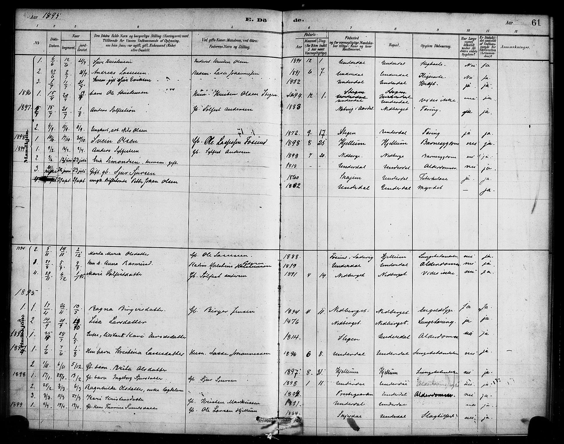 Aurland sokneprestembete, SAB/A-99937/H/Ha/Hae/L0001: Parish register (official) no. E 1, 1880-1907, p. 61