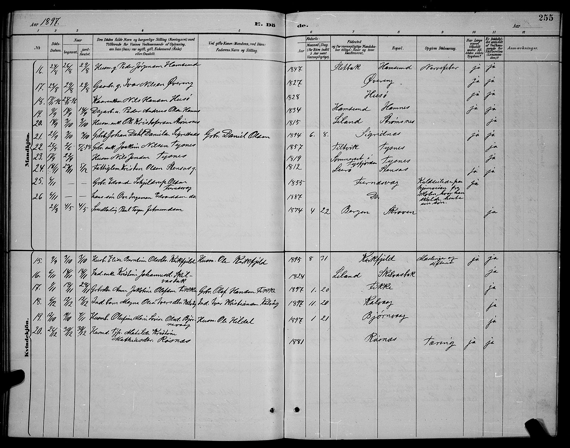 Ministerialprotokoller, klokkerbøker og fødselsregistre - Nordland, SAT/A-1459/859/L0859: Parish register (copy) no. 859C05, 1887-1898, p. 255