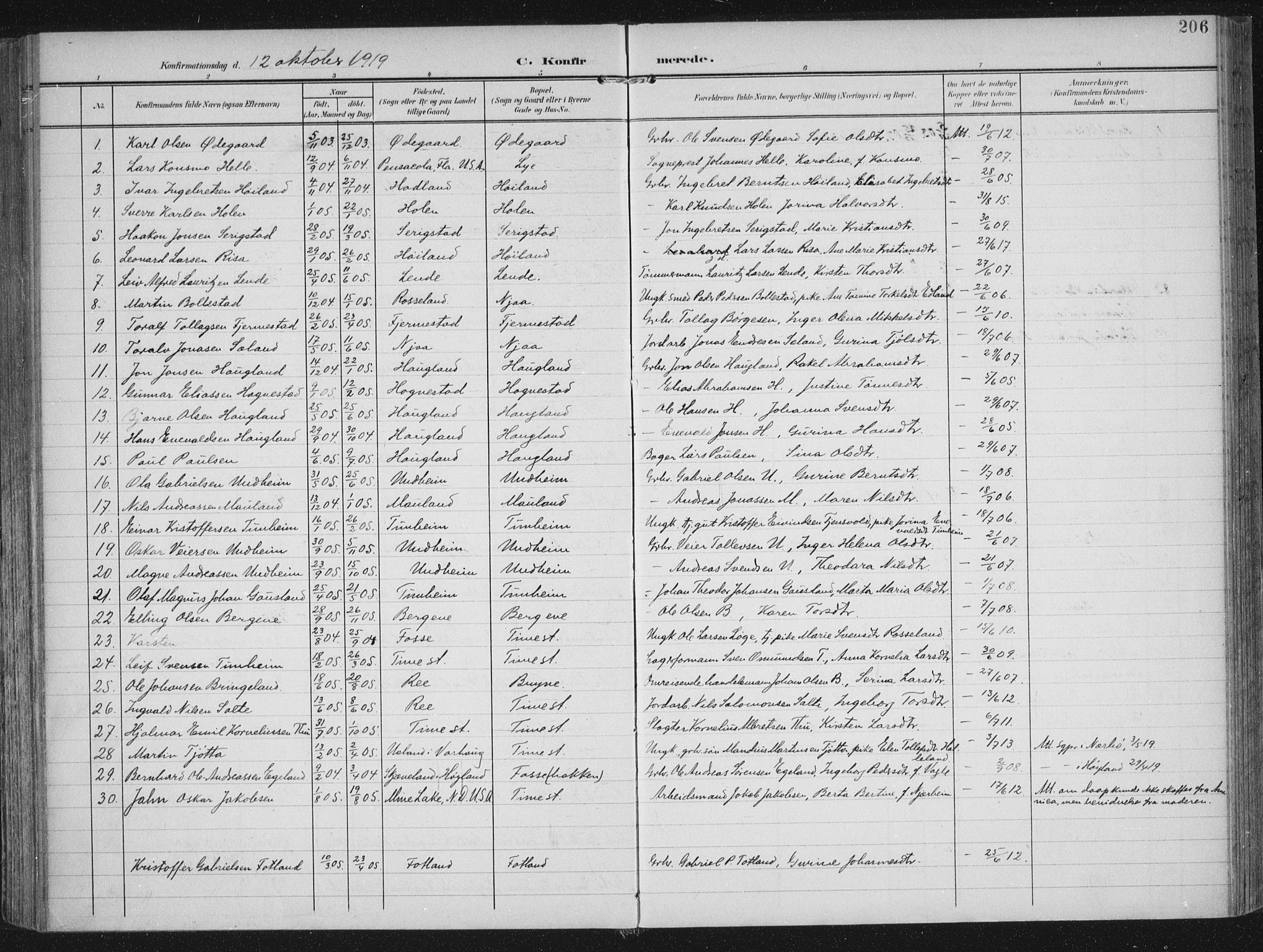 Lye sokneprestkontor, AV/SAST-A-101794/002/A/L0001: Parish register (official) no. A 12, 1904-1920, p. 206