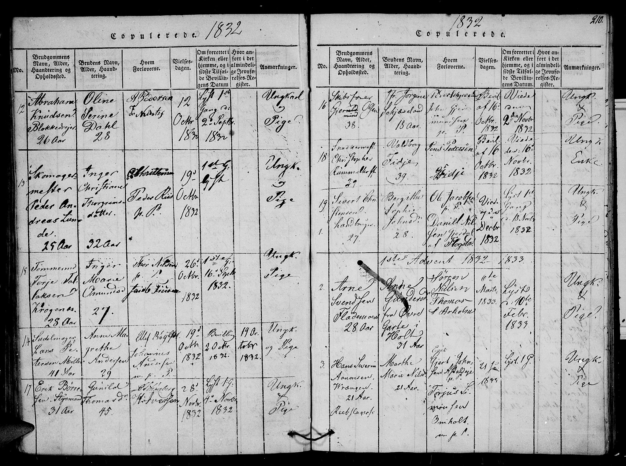 Arendal sokneprestkontor, Trefoldighet, SAK/1111-0040/F/Fb/L0001: Parish register (copy) no. B 1, 1816-1838, p. 210