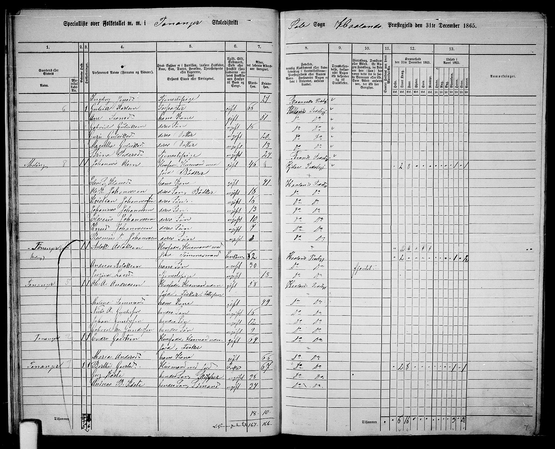 RA, 1865 census for Håland, 1865, p. 22