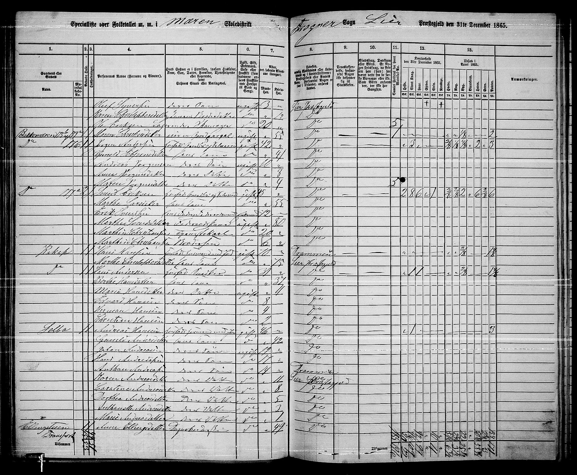 RA, 1865 census for Lier, 1865, p. 101