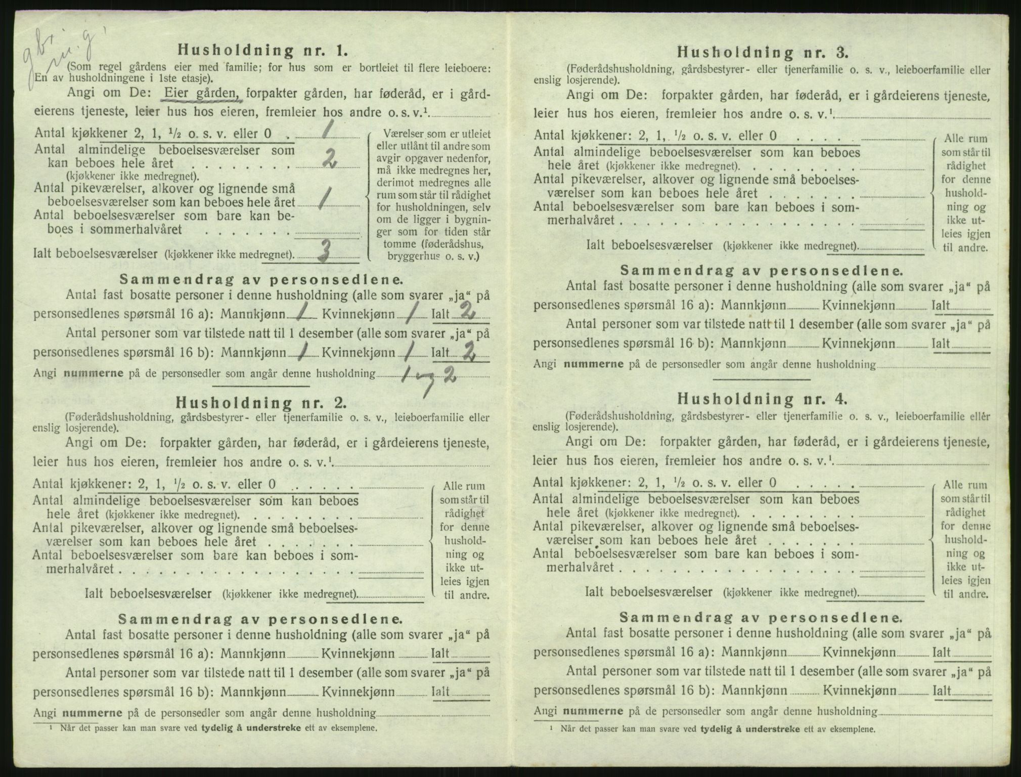 SAST, 1920 census for Strand, 1920, p. 53