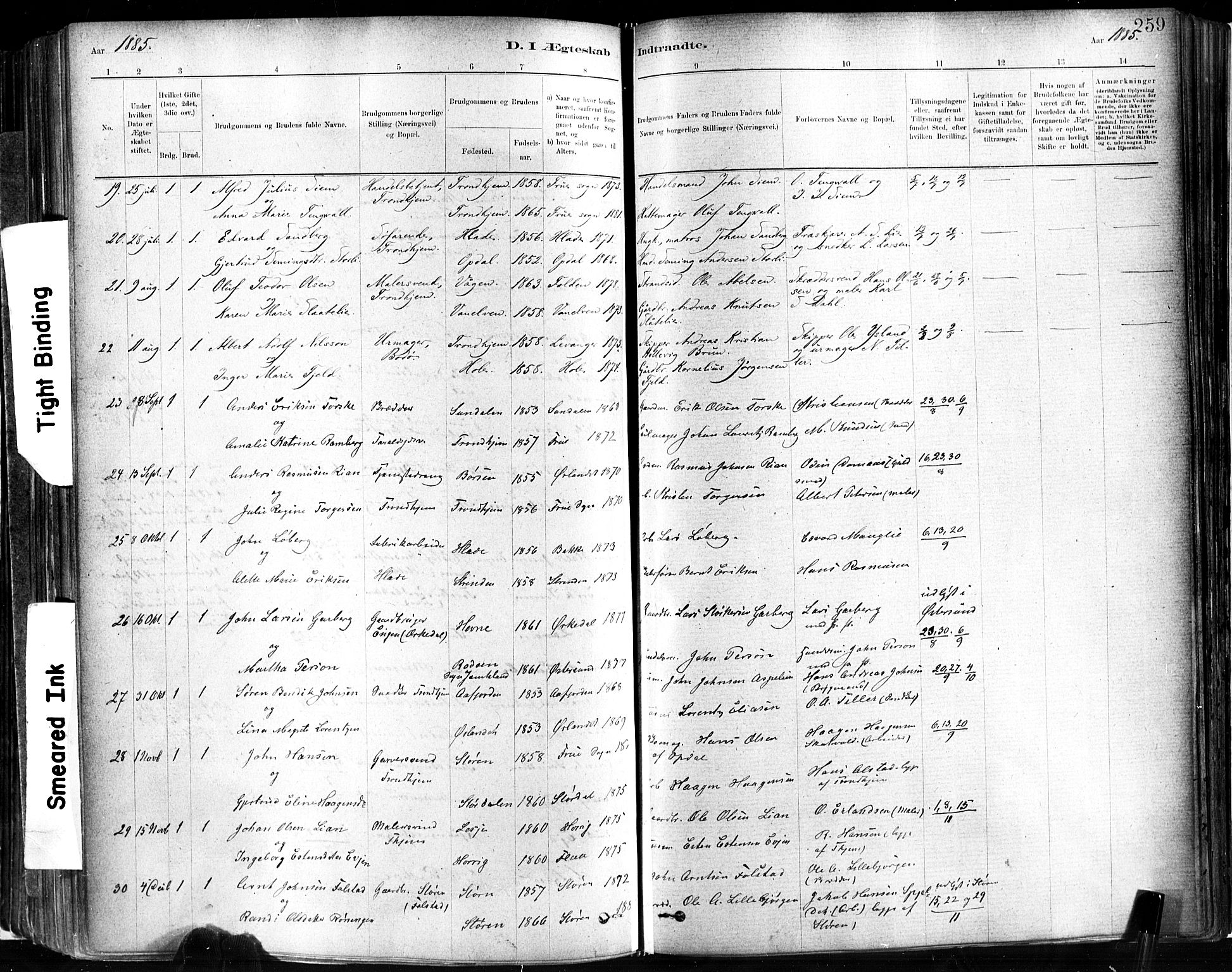 Ministerialprotokoller, klokkerbøker og fødselsregistre - Sør-Trøndelag, SAT/A-1456/602/L0119: Parish register (official) no. 602A17, 1880-1901, p. 259
