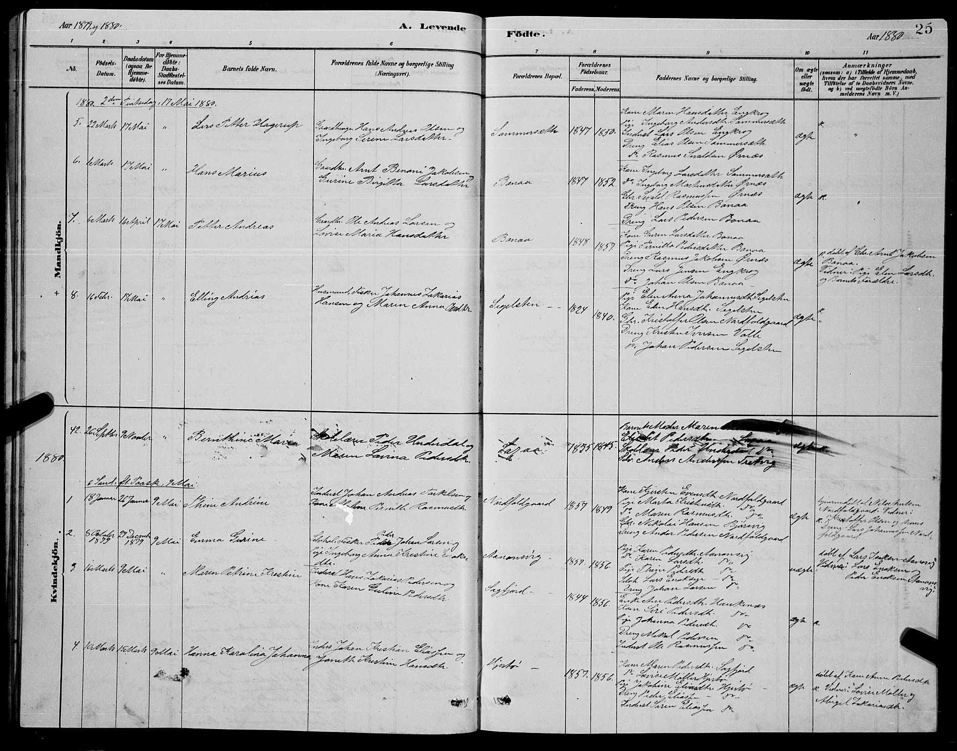 Ministerialprotokoller, klokkerbøker og fødselsregistre - Nordland, AV/SAT-A-1459/853/L0776: Parish register (copy) no. 853C04, 1878-1889, p. 25