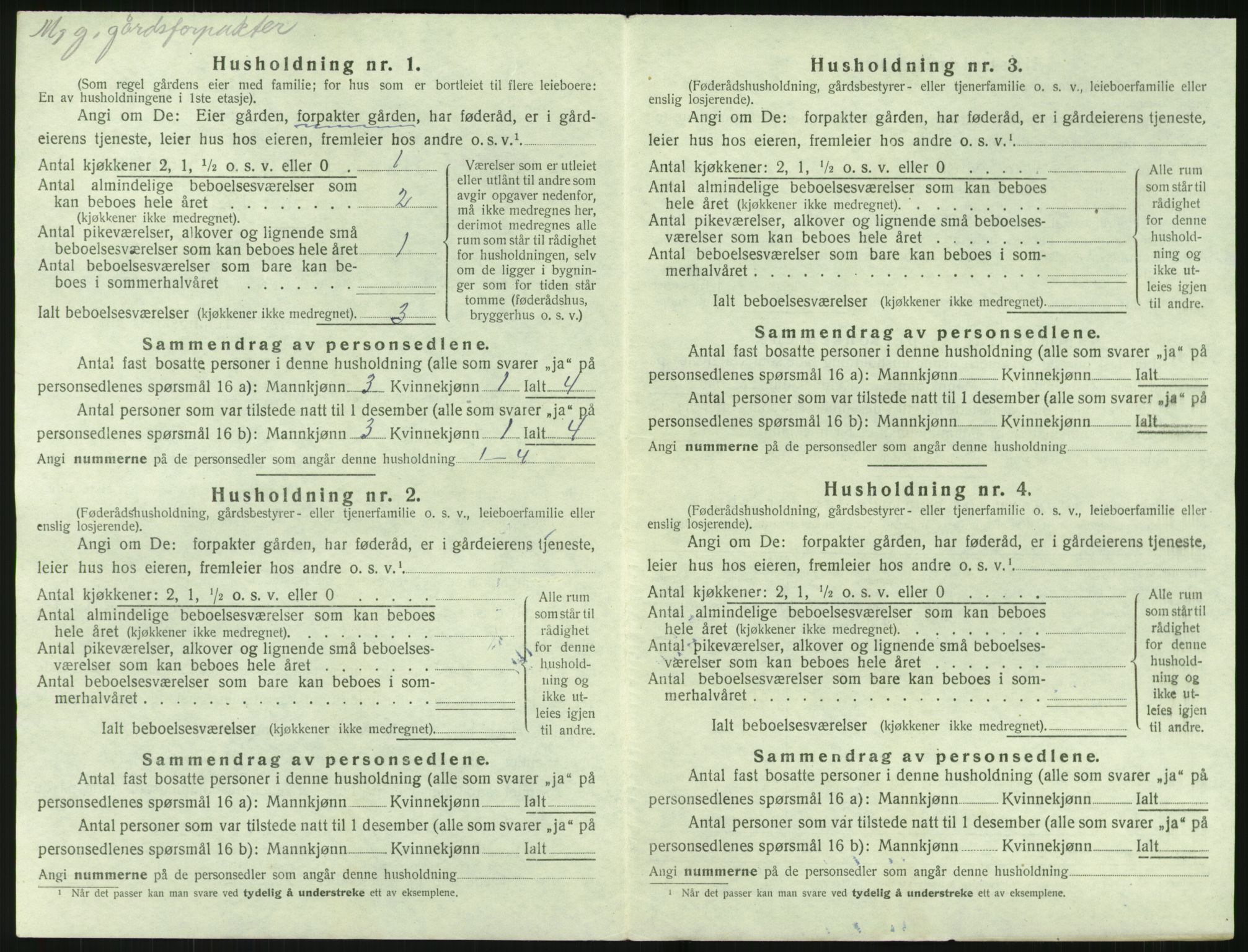 SAK, 1920 census for Holt, 1920, p. 771