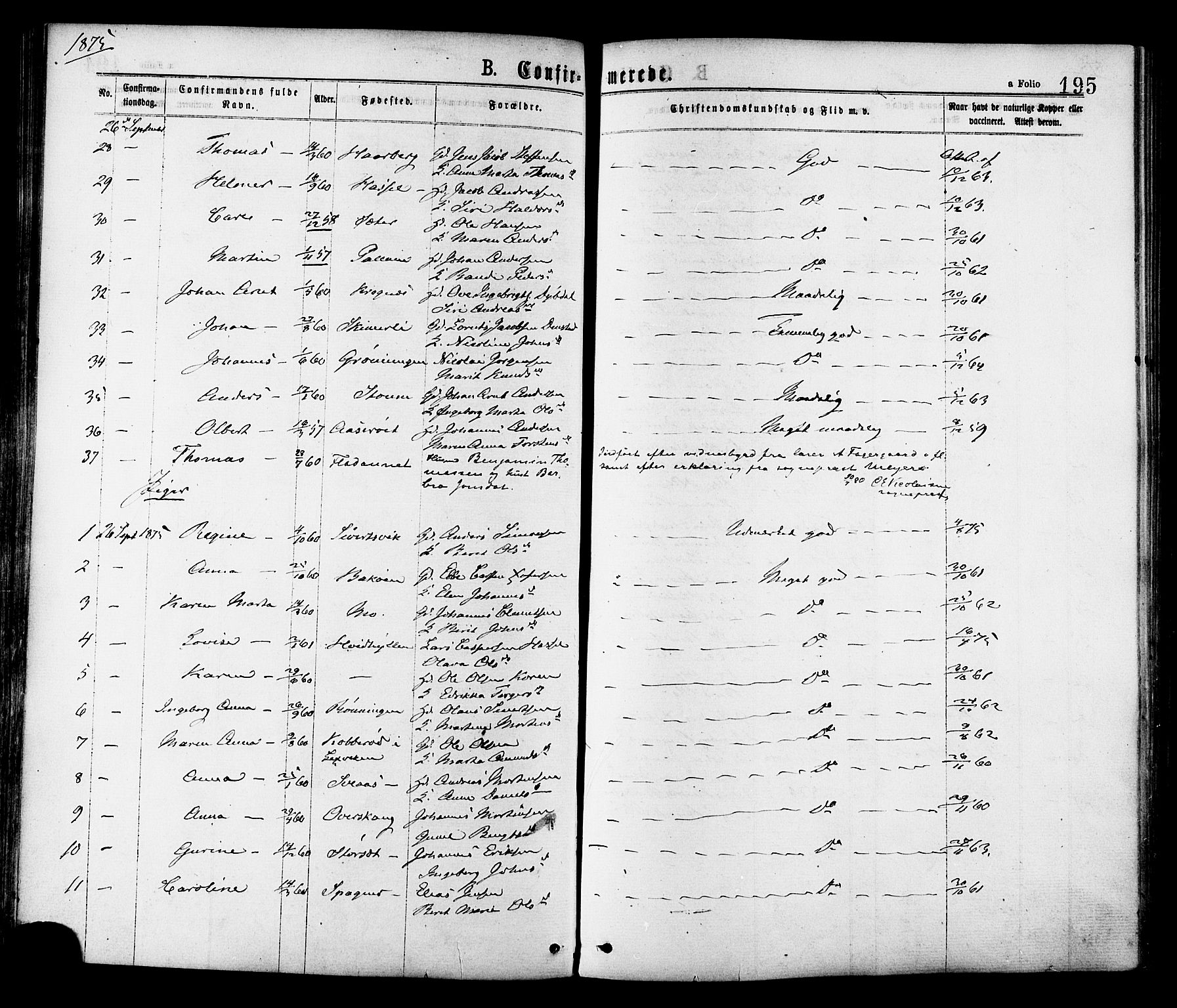 Ministerialprotokoller, klokkerbøker og fødselsregistre - Sør-Trøndelag, AV/SAT-A-1456/646/L0613: Parish register (official) no. 646A11, 1870-1884, p. 195