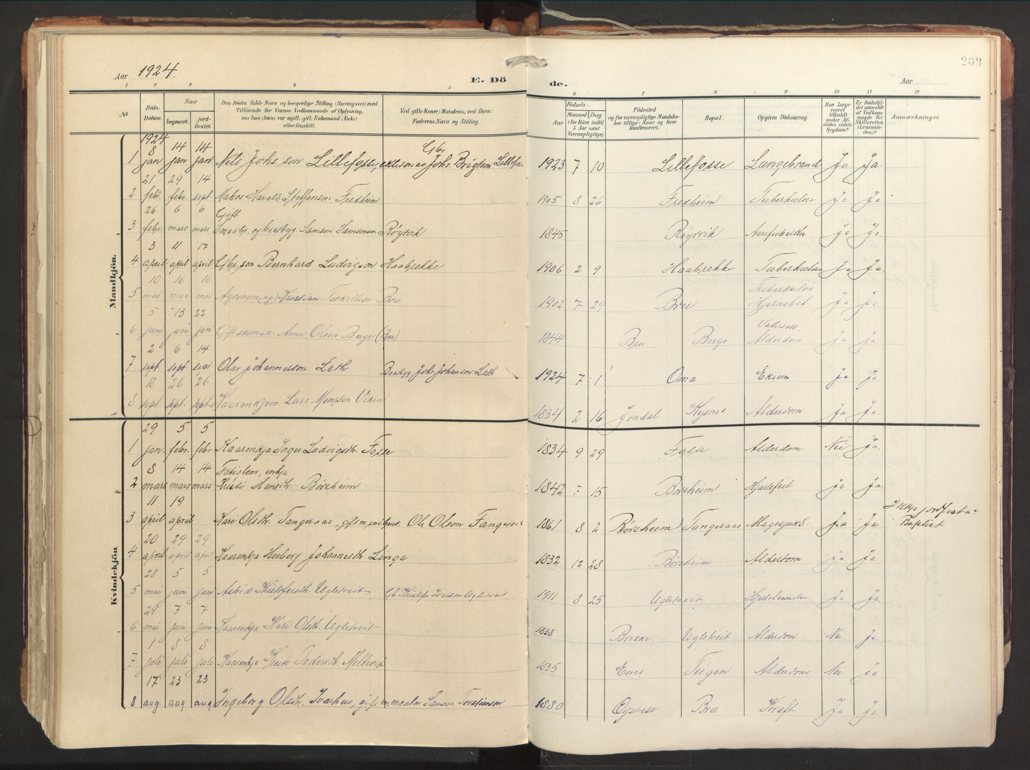 Strandebarm sokneprestembete, AV/SAB-A-78401/H/Haa: Parish register (official) no. B 2, 1909-1941, p. 203