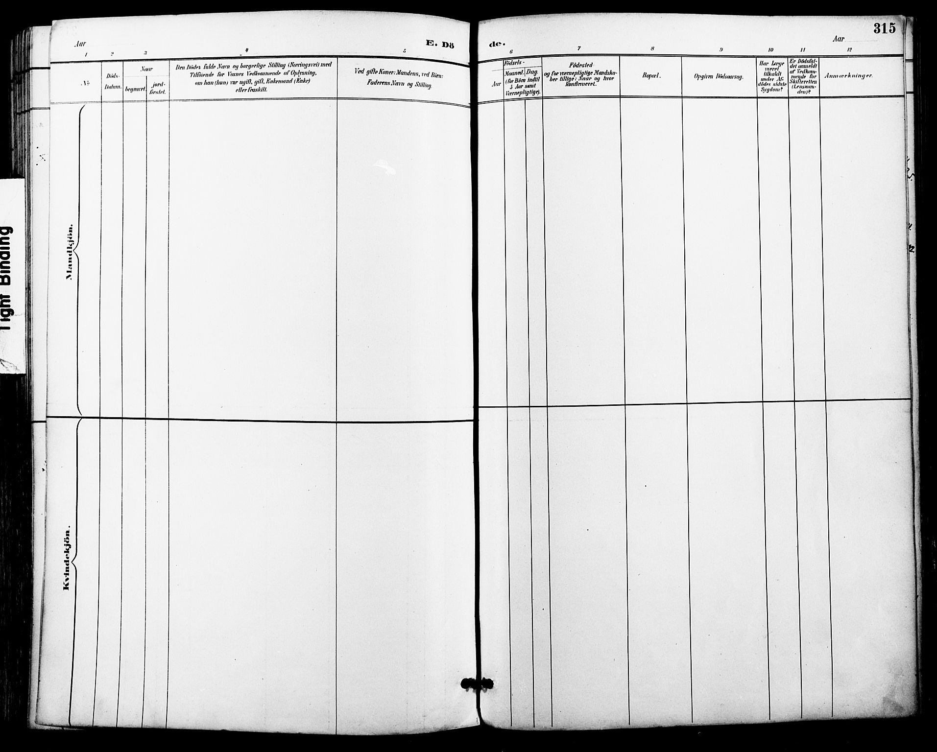 Ministerialprotokoller, klokkerbøker og fødselsregistre - Nordland, AV/SAT-A-1459/801/L0010: Parish register (official) no. 801A10, 1888-1899, p. 315