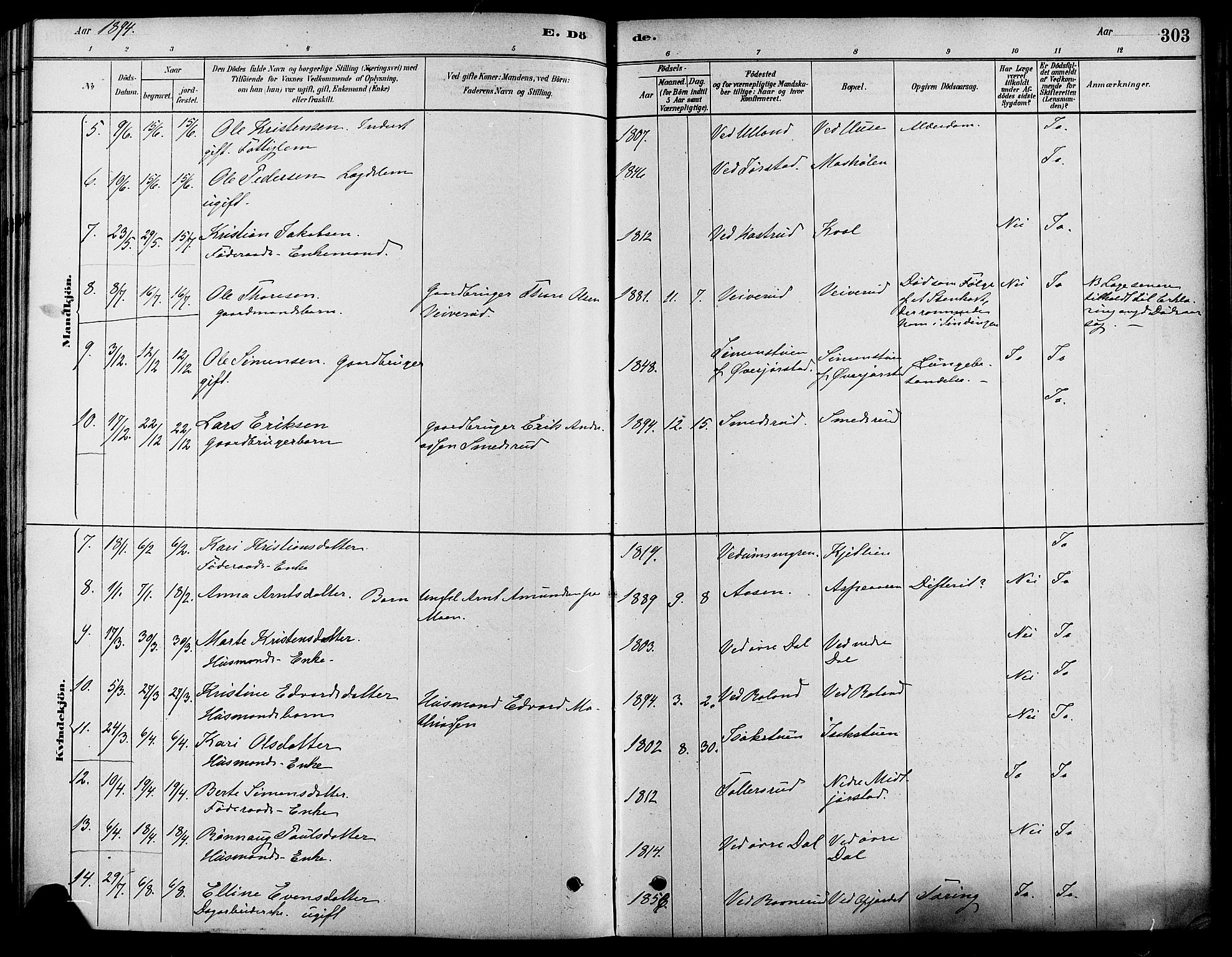 Fåberg prestekontor, SAH/PREST-086/H/Ha/Haa/L0008: Parish register (official) no. 8, 1879-1898, p. 303