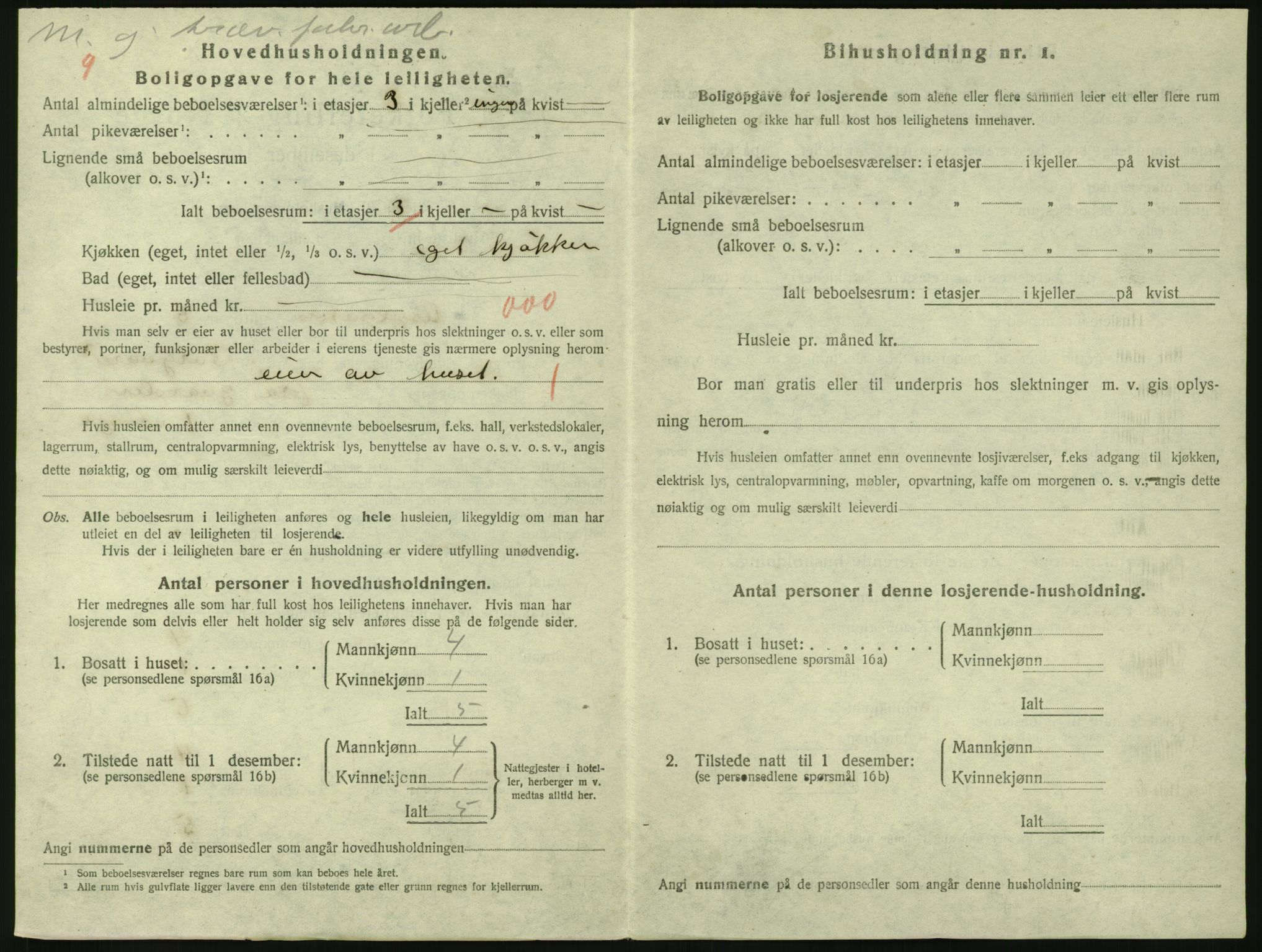 SAKO, 1920 census for Larvik, 1920, p. 3393