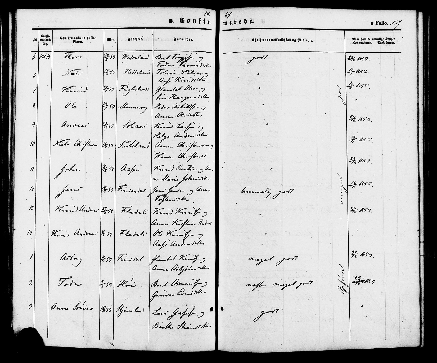 Holum sokneprestkontor, AV/SAK-1111-0022/F/Fa/Fac/L0003: Parish register (official) no. A 3, 1860-1883, p. 137