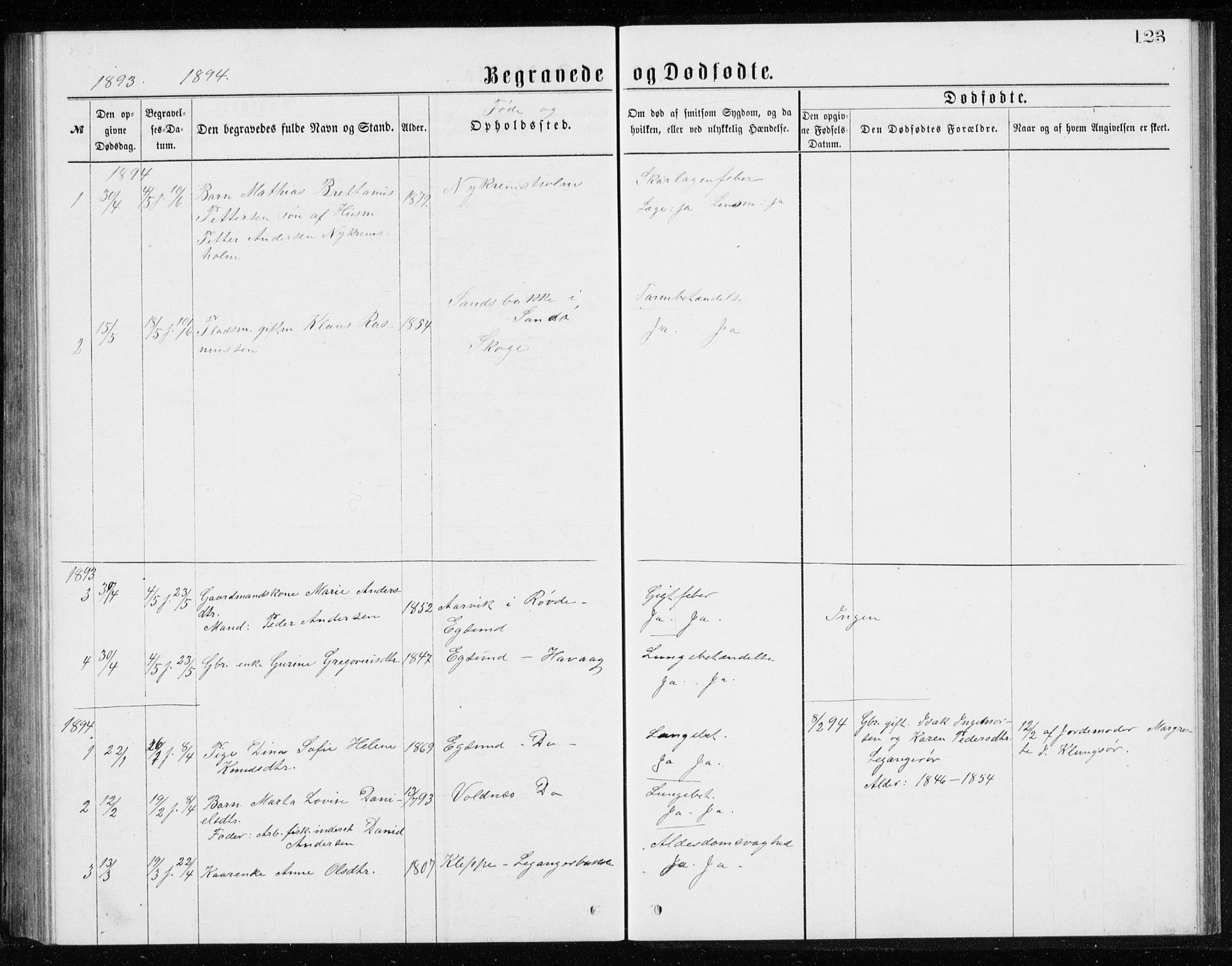 Ministerialprotokoller, klokkerbøker og fødselsregistre - Møre og Romsdal, AV/SAT-A-1454/508/L0097: Parish register (copy) no. 508C01, 1873-1897, p. 123