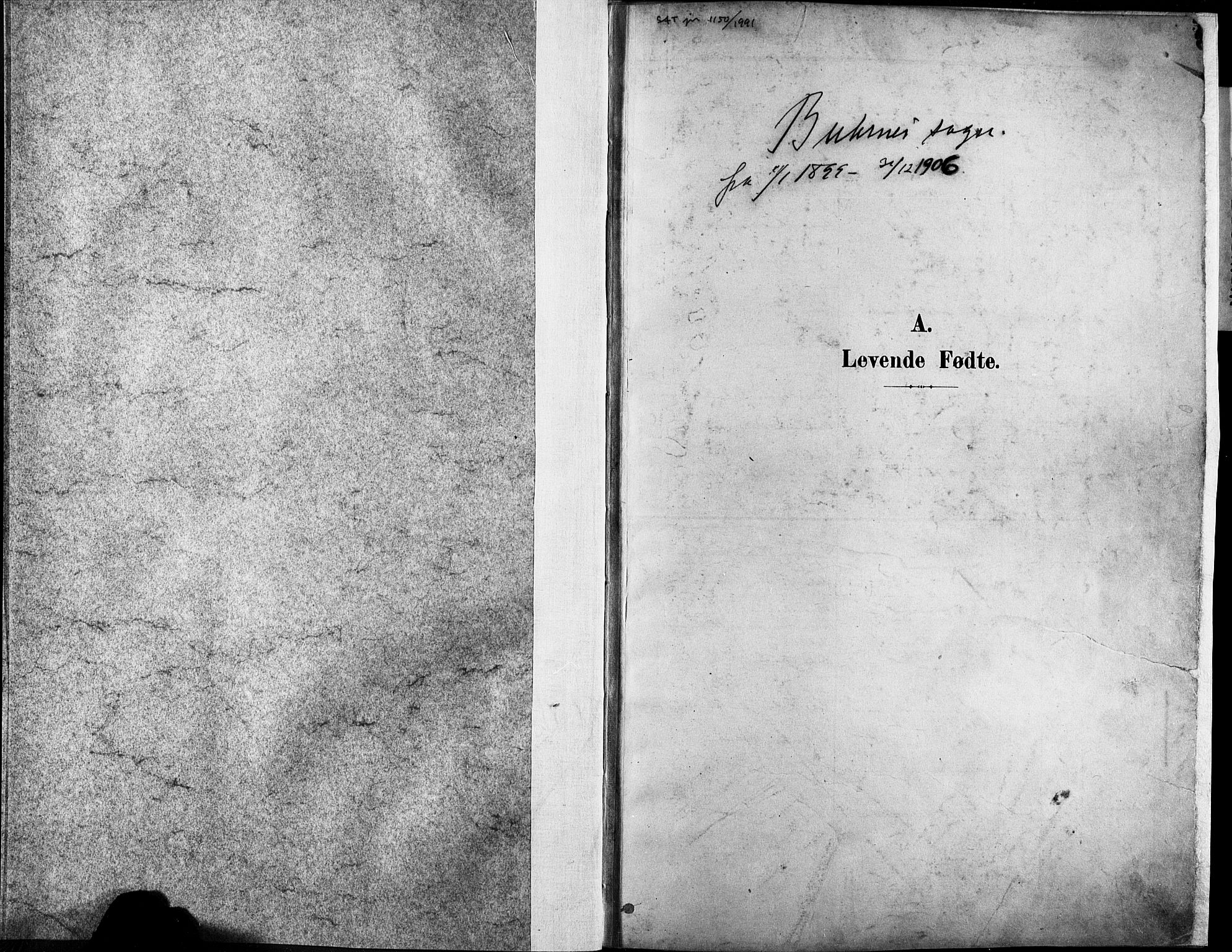 Ministerialprotokoller, klokkerbøker og fødselsregistre - Nordland, SAT/A-1459/881/L1151: Parish register (official) no. 881A04, 1899-1907
