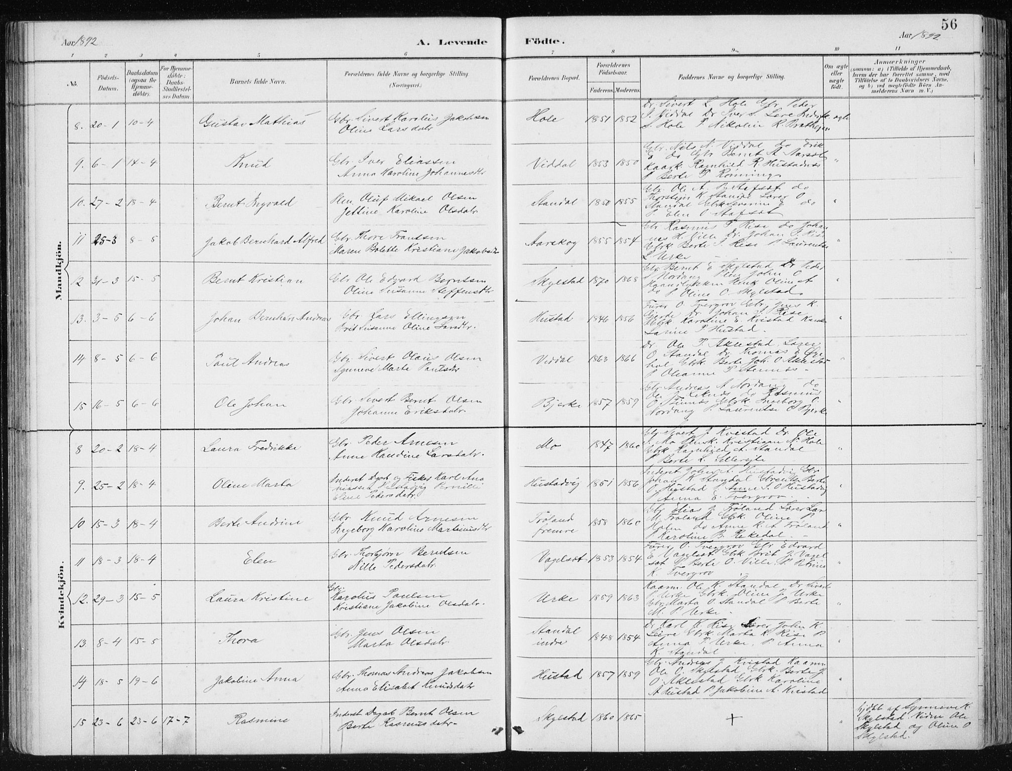 Ministerialprotokoller, klokkerbøker og fødselsregistre - Møre og Romsdal, AV/SAT-A-1454/515/L0215: Parish register (copy) no. 515C02, 1884-1906, p. 56