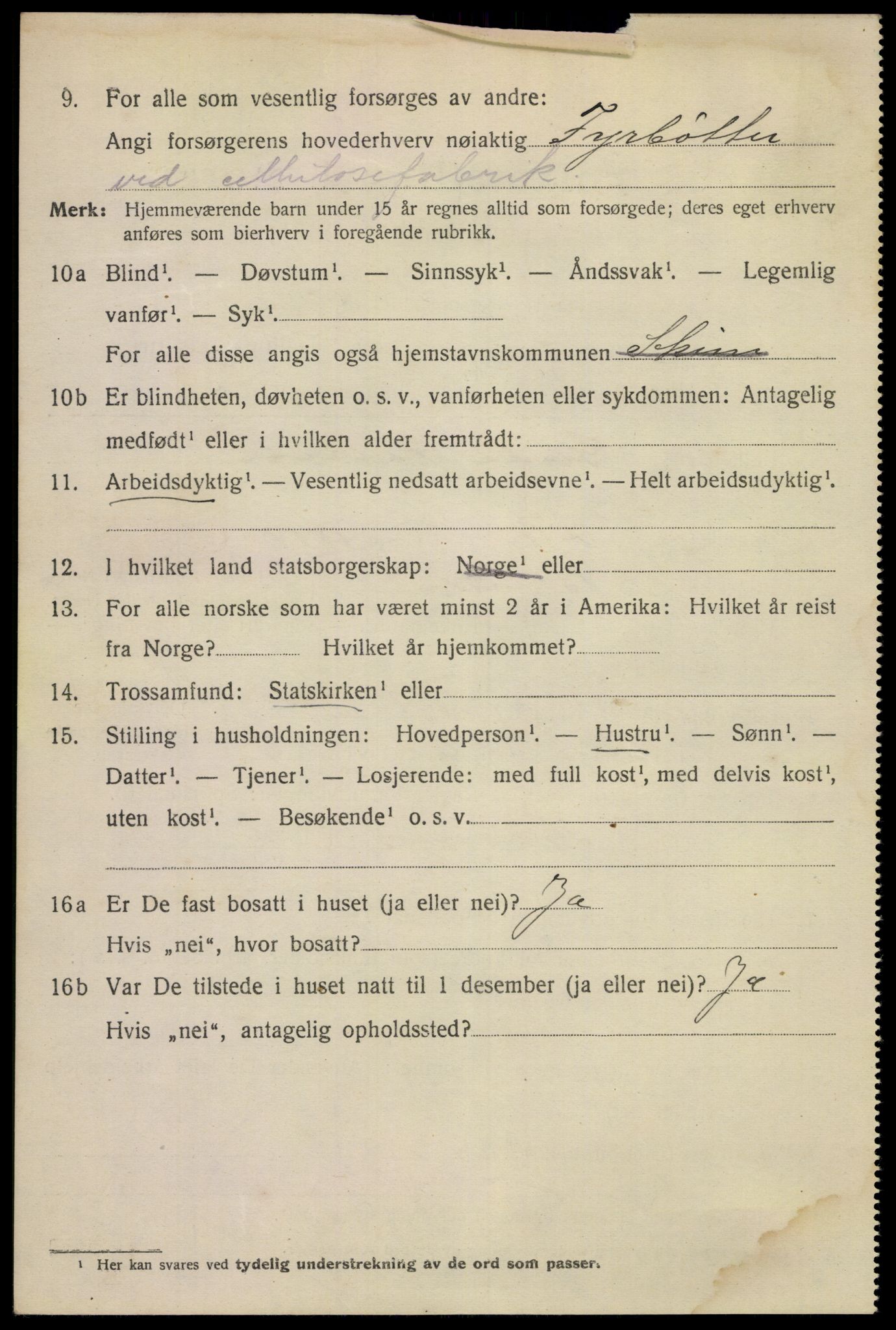 SAKO, 1920 census for Skien, 1920, p. 21795