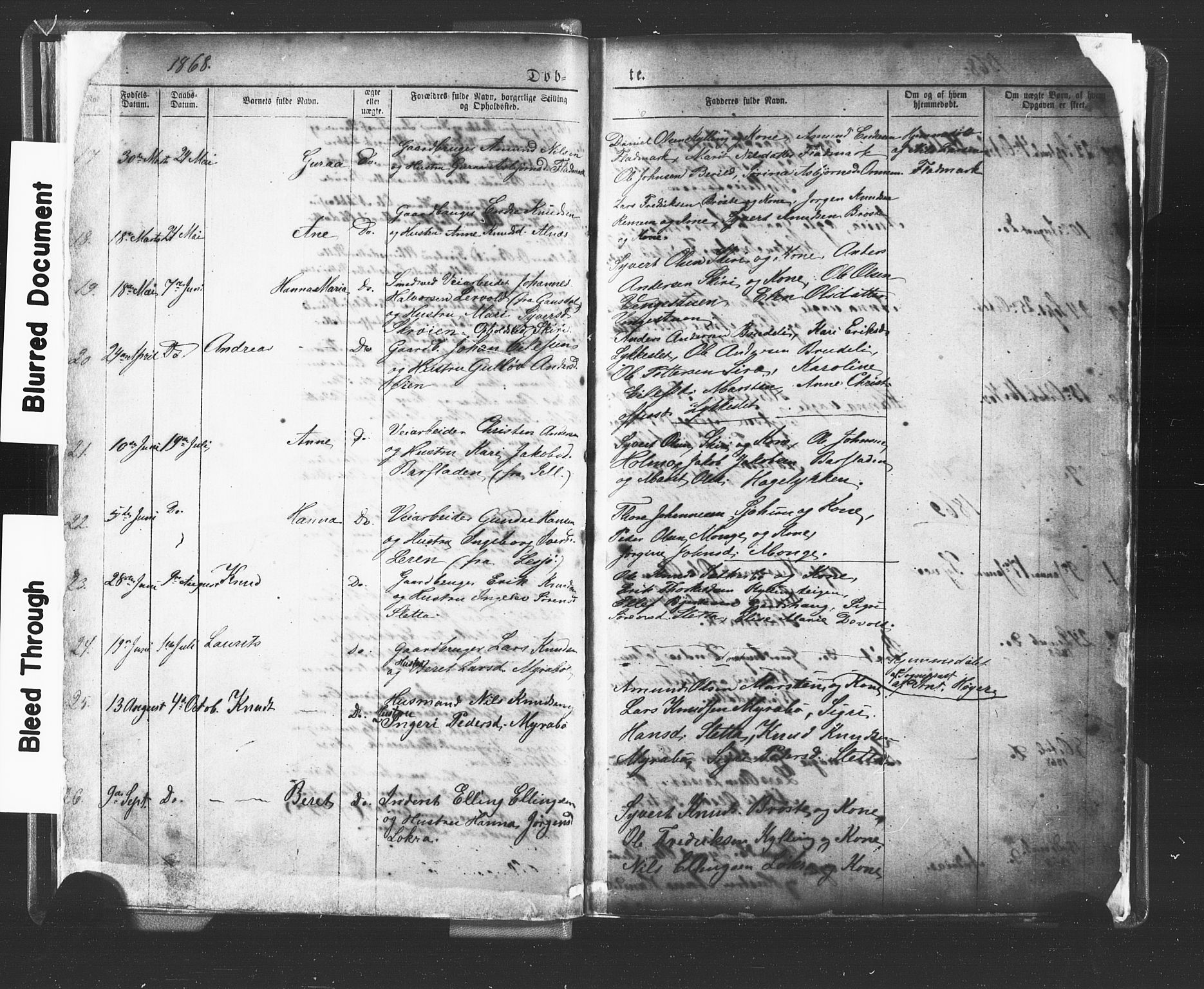 Ministerialprotokoller, klokkerbøker og fødselsregistre - Møre og Romsdal, AV/SAT-A-1454/546/L0596: Parish register (copy) no. 546C02, 1867-1921, p. 5