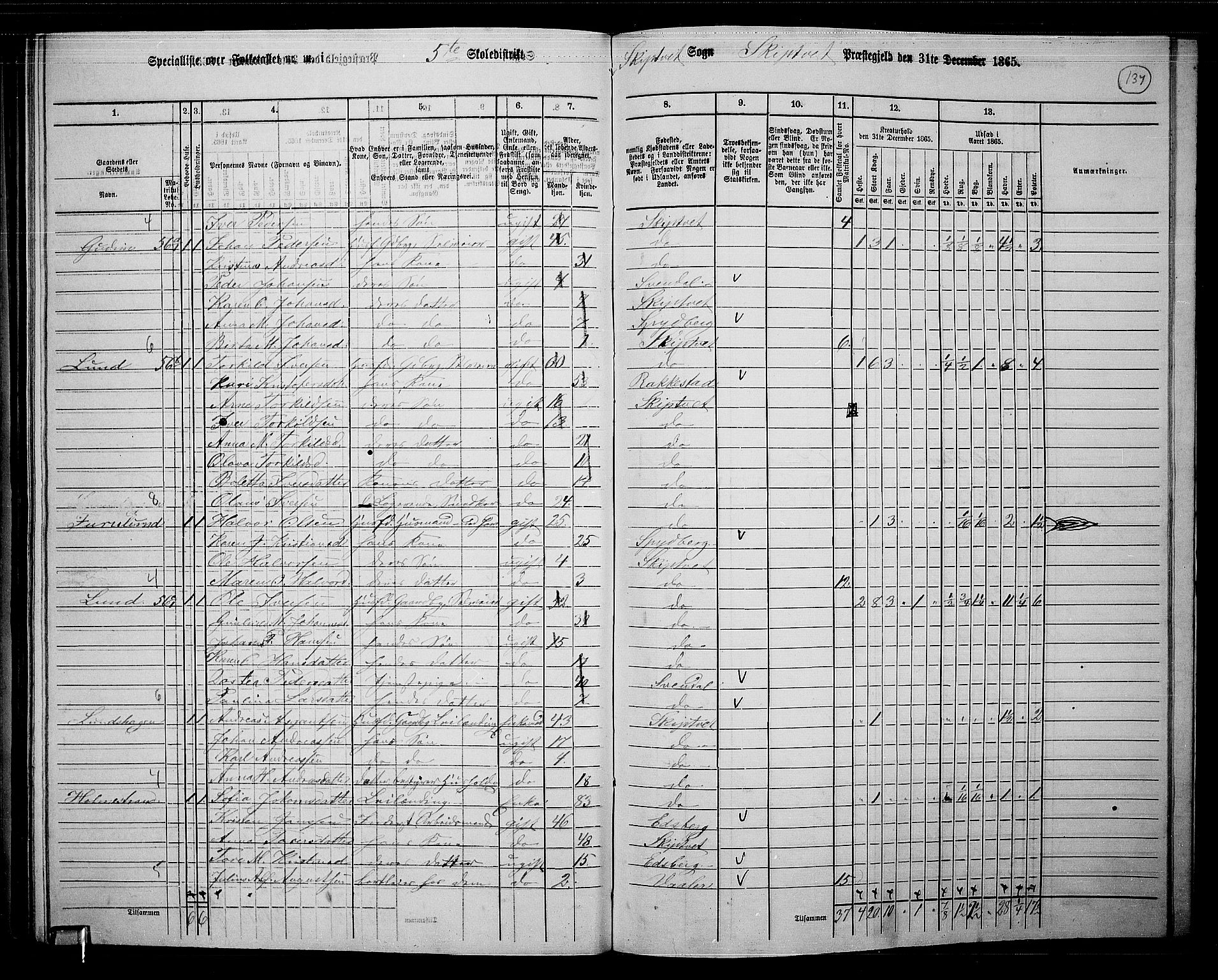 RA, 1865 census for Skiptvet, 1865, p. 120