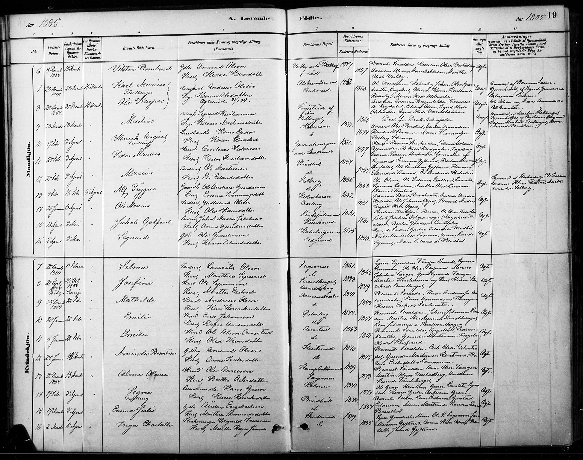 Vinger prestekontor, AV/SAH-PREST-024/H/Ha/Haa/L0015: Parish register (official) no. 15, 1881-1900, p. 19