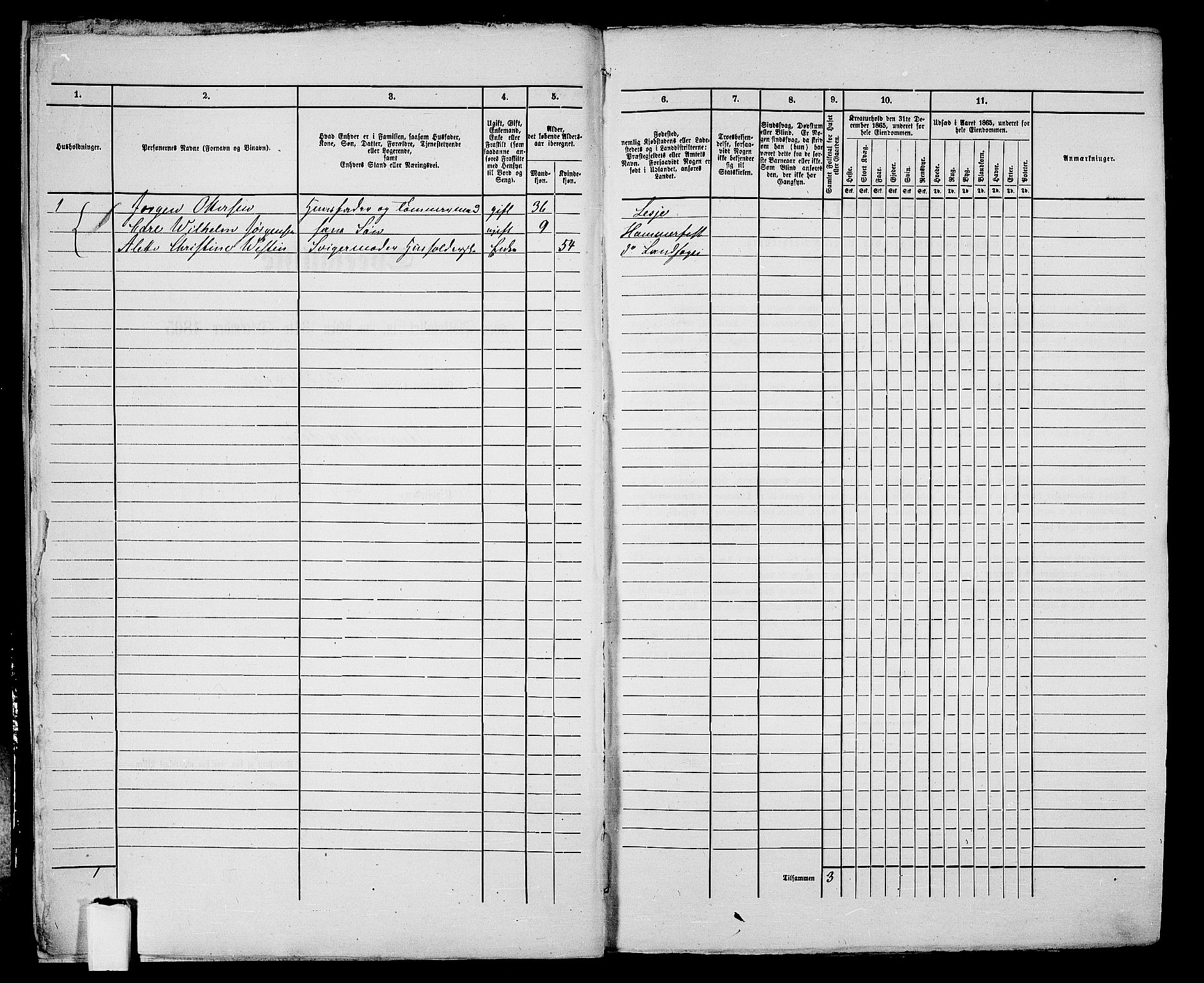 RA, 1865 census for Hammerfest/Hammerfest, 1865, p. 13