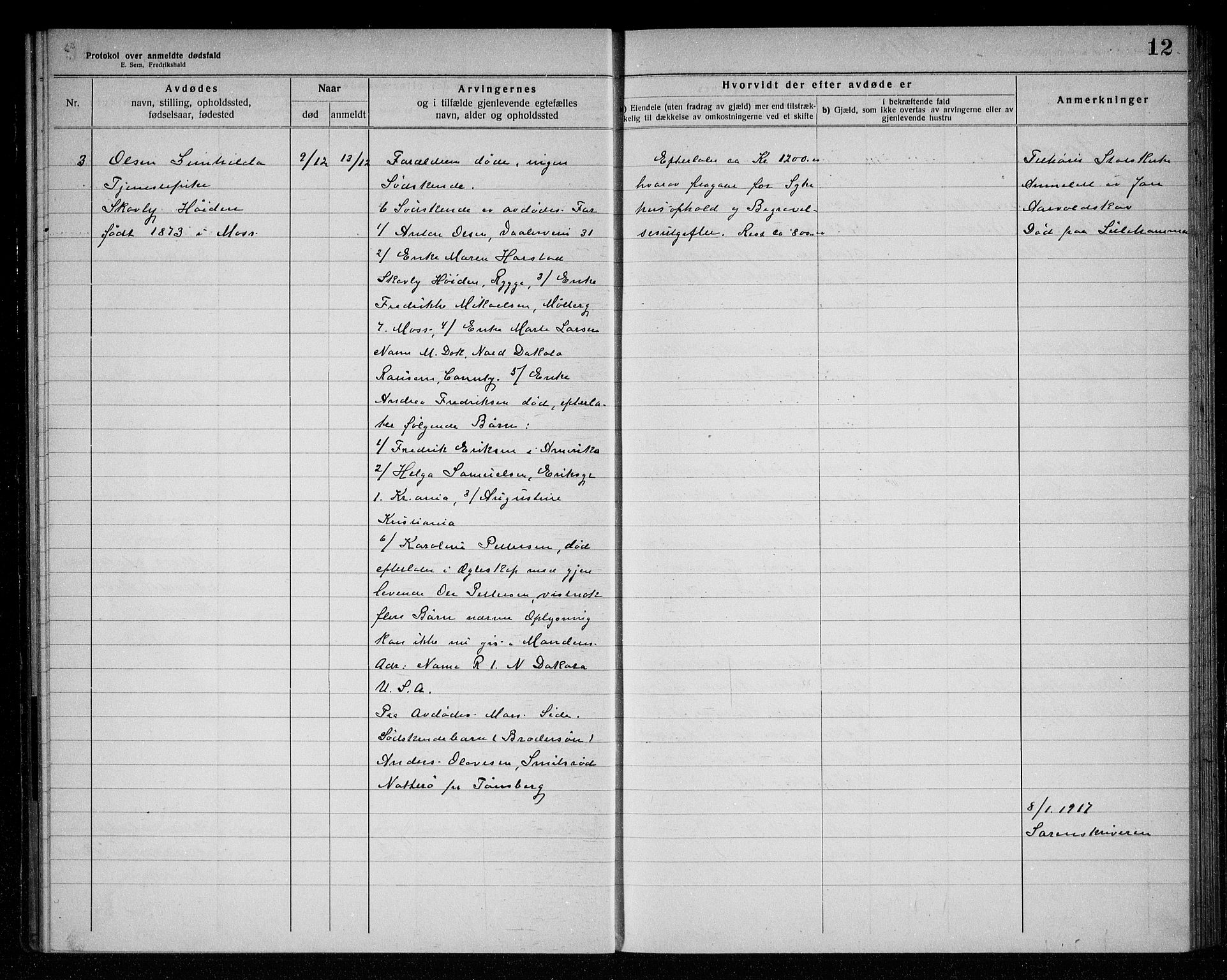 Rygge lensmannskontor, SAO/A-10005/H/Ha/Haa/L0006: Dødsfallsprotokoll, 1916-1920, p. 12