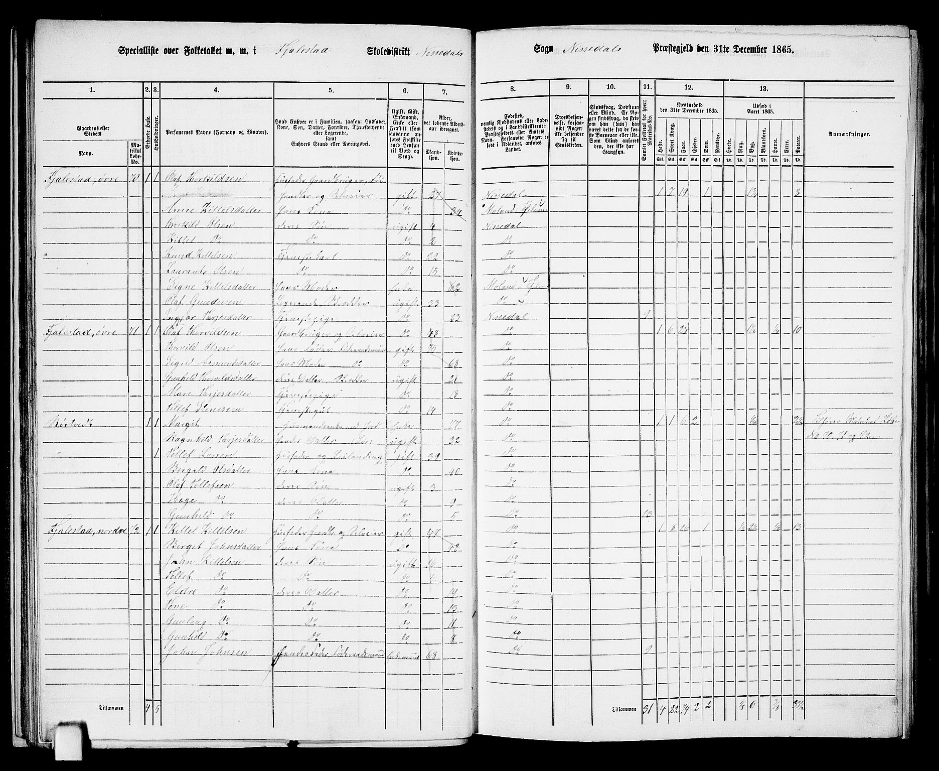 RA, 1865 census for Nissedal, 1865, p. 37