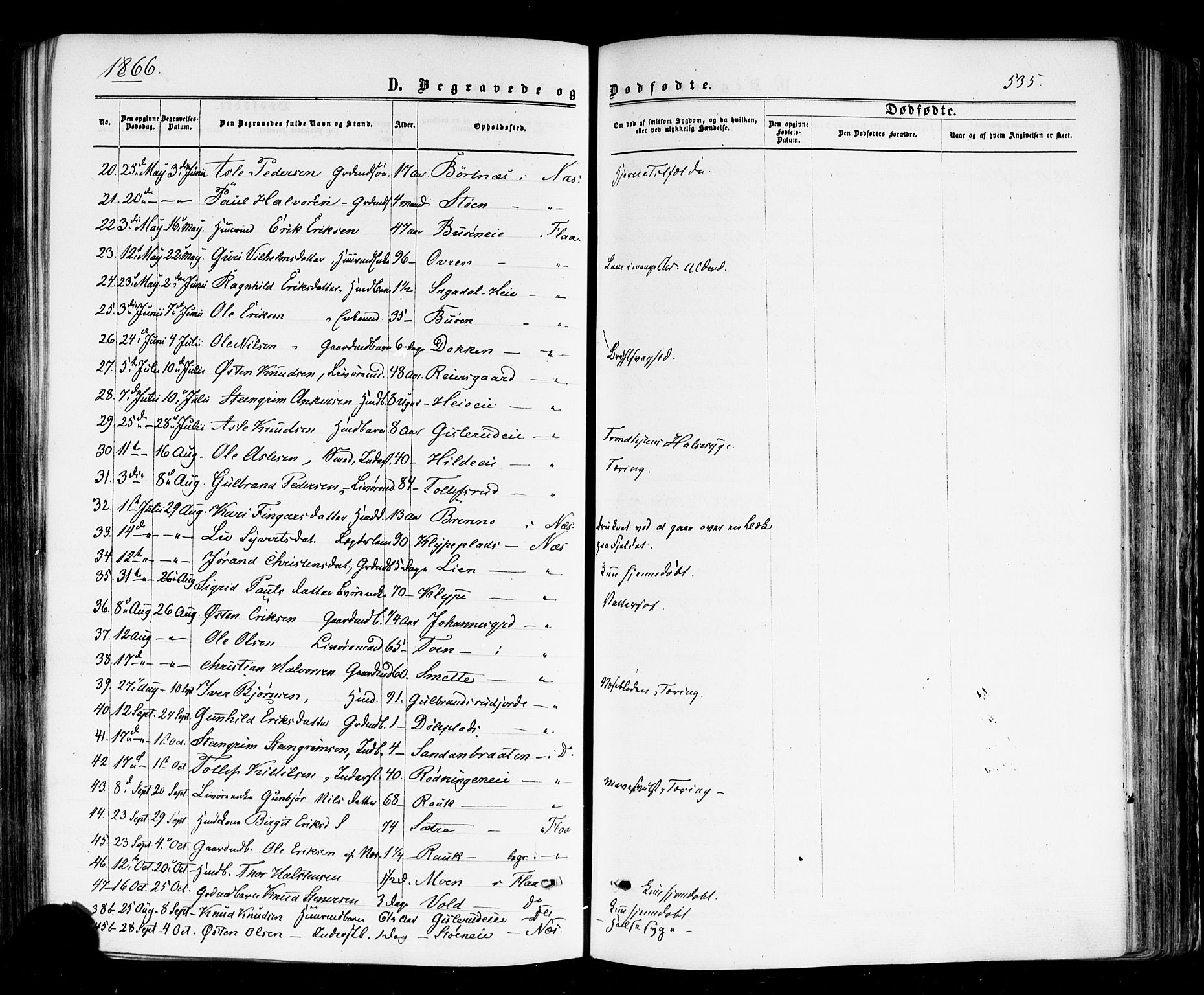 Nes kirkebøker, AV/SAKO-A-236/F/Fa/L0010: Parish register (official) no. 10, 1864-1880, p. 535