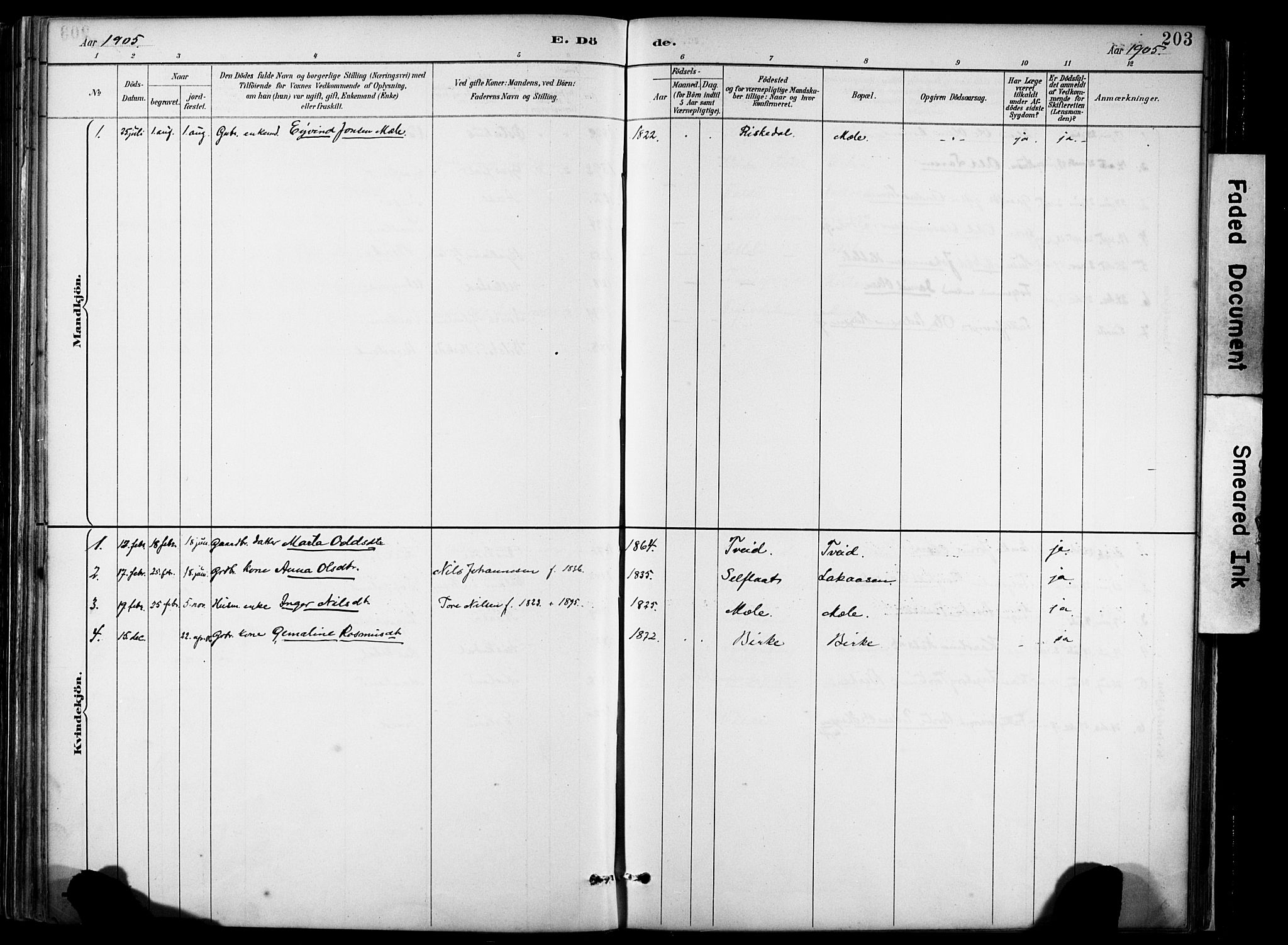 Hjelmeland sokneprestkontor, AV/SAST-A-101843/02/A/L0001: Parish register (official) no. A 16, 1887-1926, p. 203