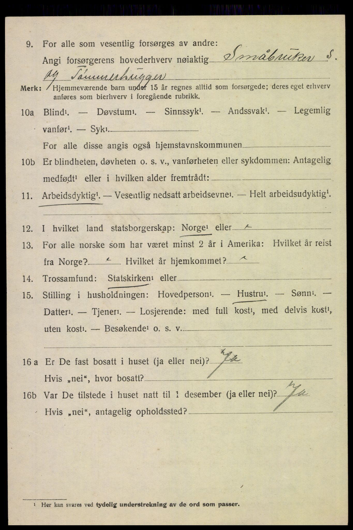 SAH, 1920 census for Folldal, 1920, p. 1028