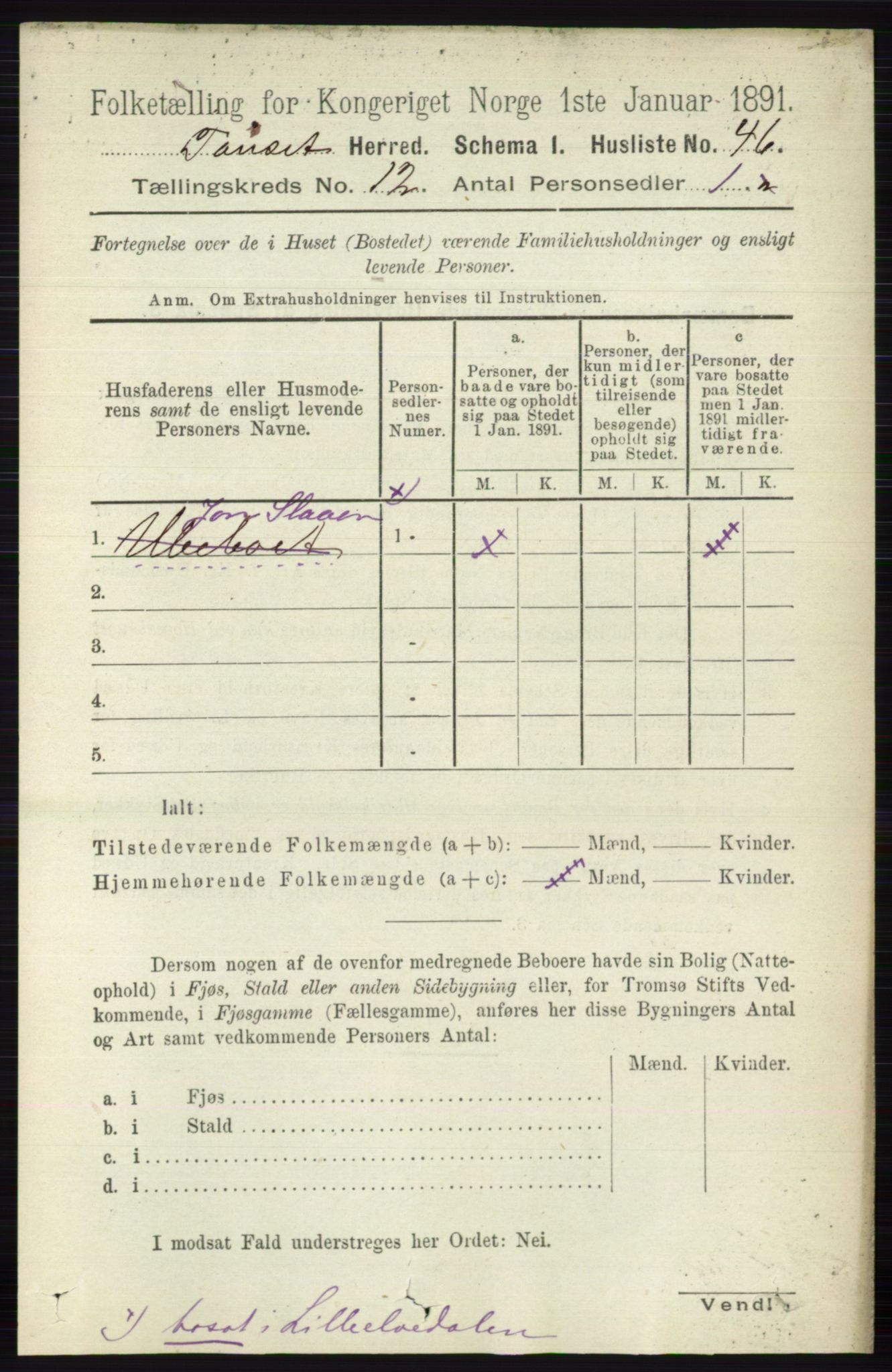 RA, 1891 census for 0437 Tynset, 1891, p. 3195