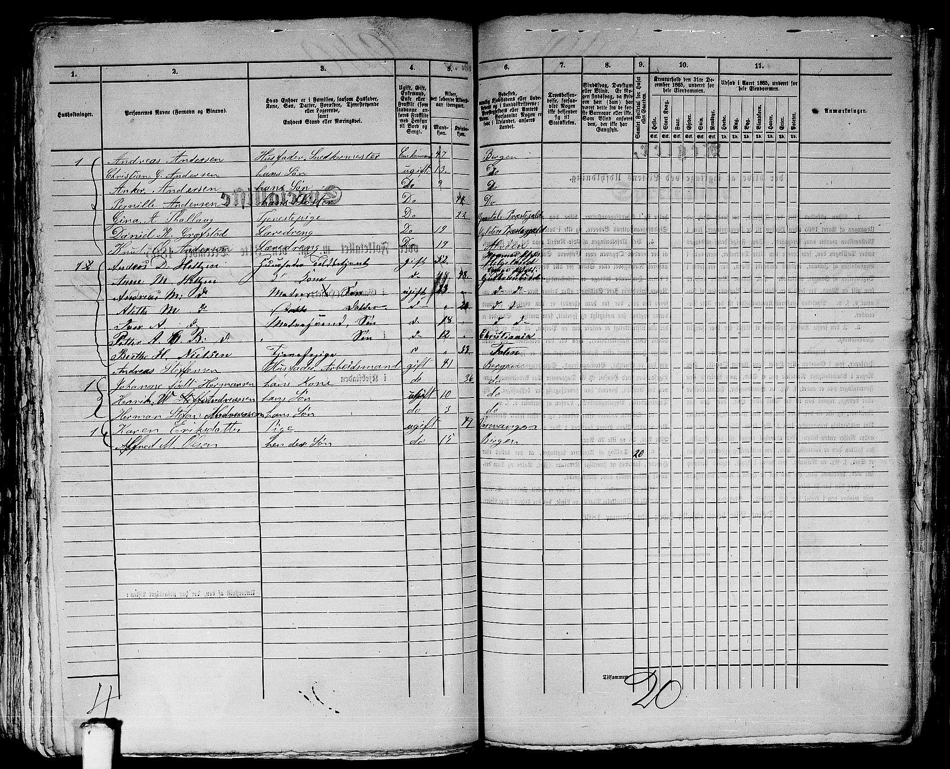 RA, 1865 census for Bergen, 1865, p. 3973