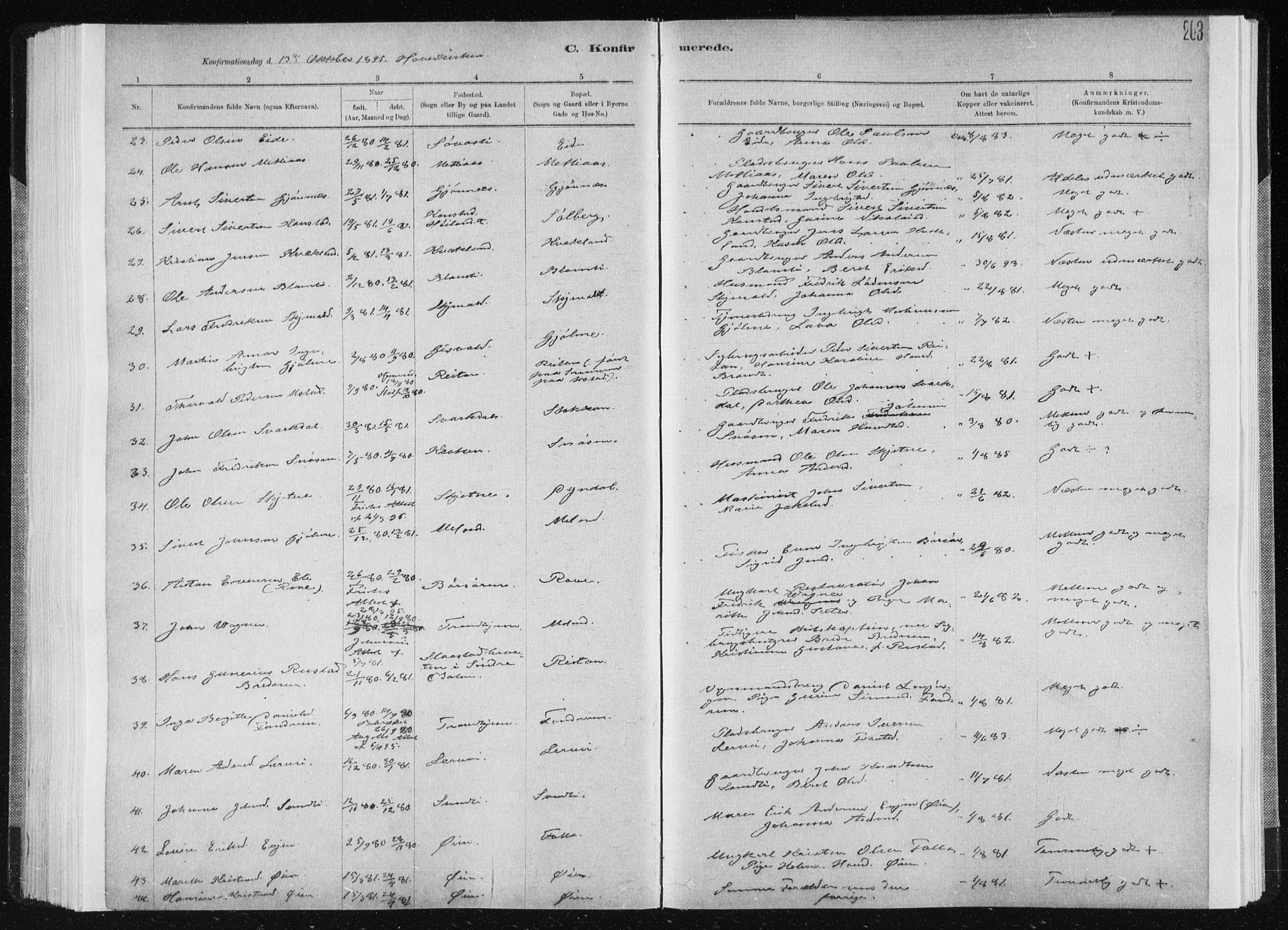 Ministerialprotokoller, klokkerbøker og fødselsregistre - Sør-Trøndelag, SAT/A-1456/668/L0818: Parish register (copy) no. 668C07, 1885-1898, p. 203