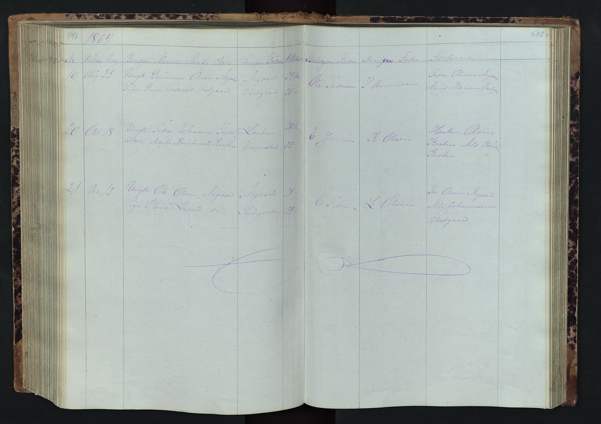 Stor-Elvdal prestekontor, AV/SAH-PREST-052/H/Ha/Hab/L0001: Parish register (copy) no. 1 /1, 1860-1894, p. 541-542