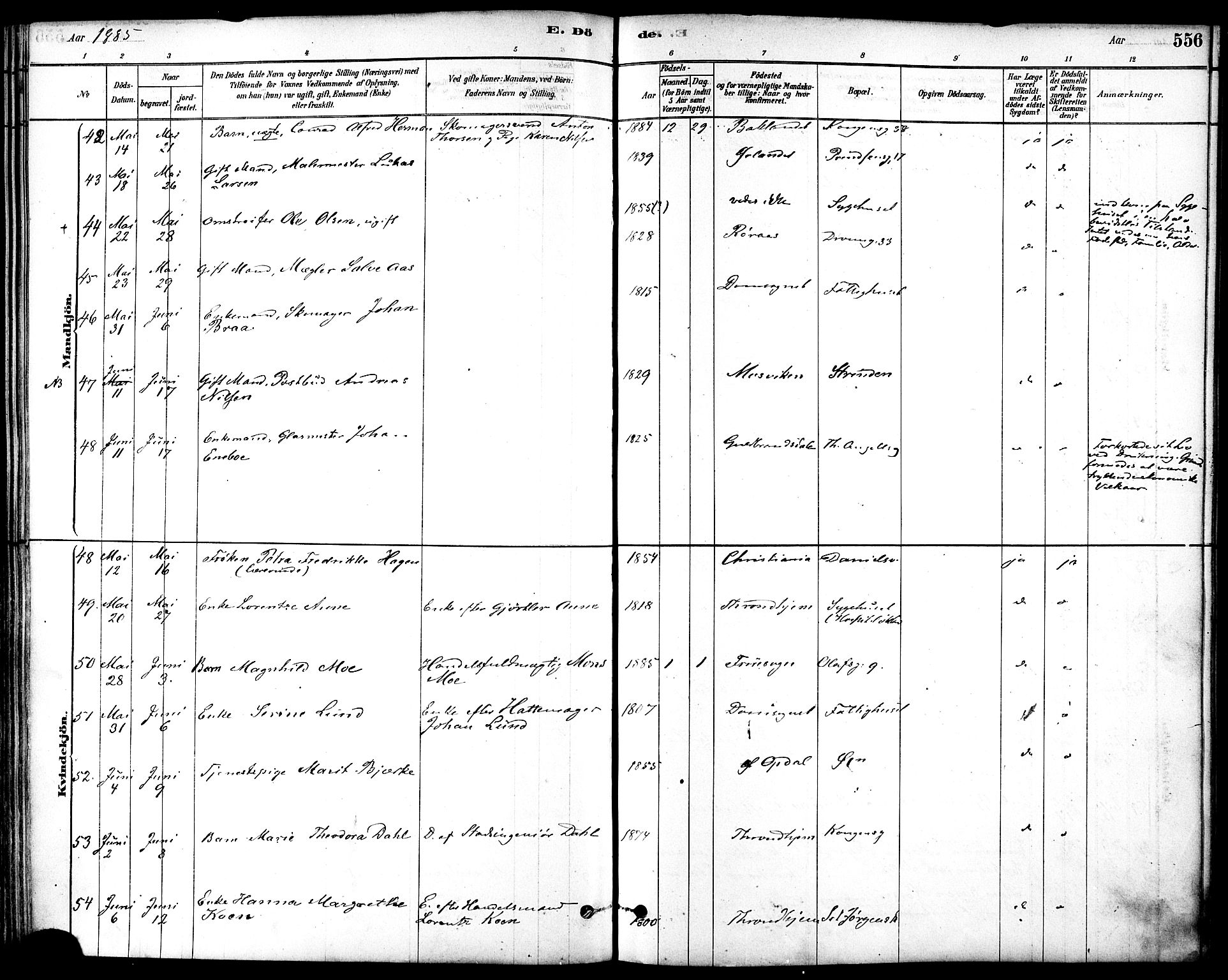 Ministerialprotokoller, klokkerbøker og fødselsregistre - Sør-Trøndelag, SAT/A-1456/601/L0058: Parish register (official) no. 601A26, 1877-1891, p. 556