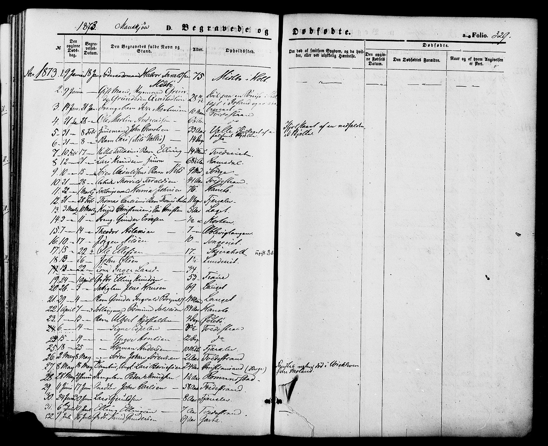 Holt sokneprestkontor, AV/SAK-1111-0021/F/Fa/L0010: Parish register (official) no. A 10, 1872-1885, p. 329