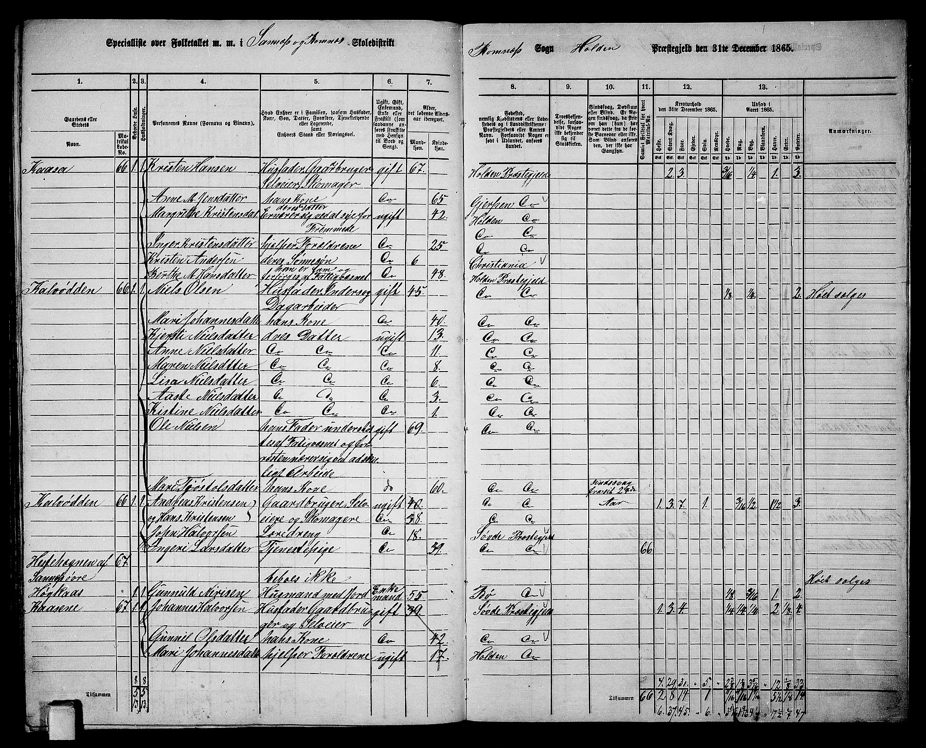 RA, 1865 census for Holla, 1865, p. 146