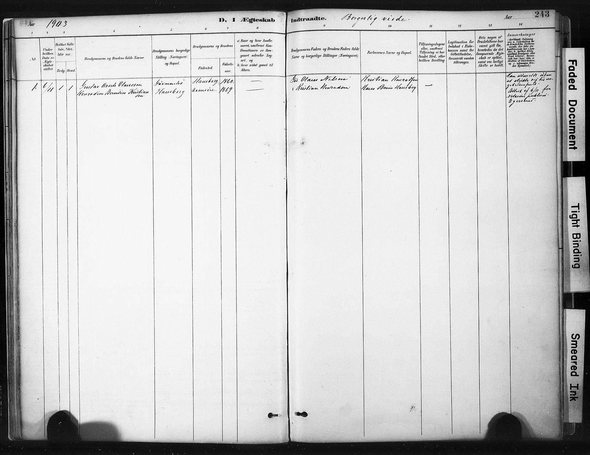 Sokndal sokneprestkontor, SAST/A-101808: Parish register (official) no. A 11.2, 1887-1905, p. 243