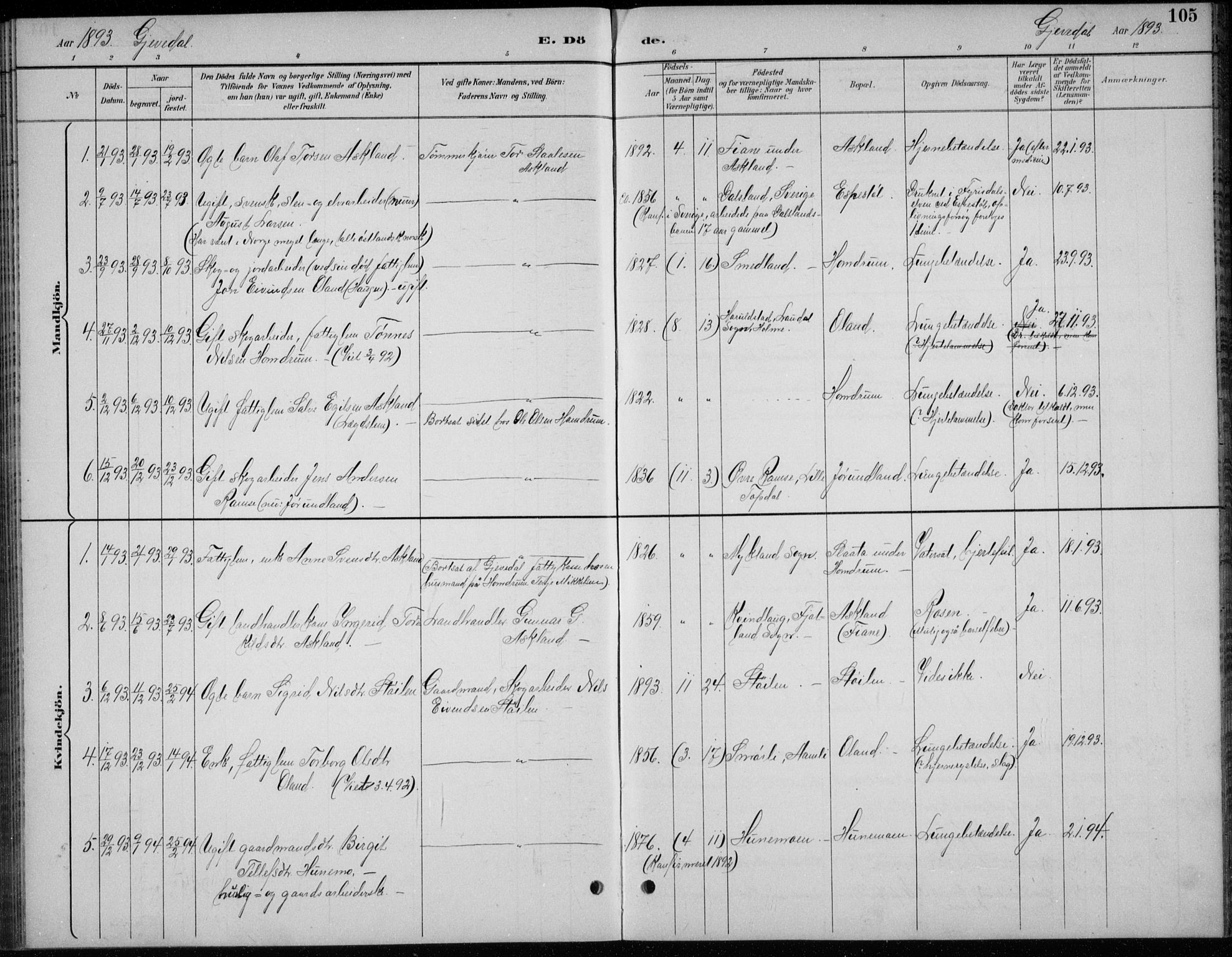 Åmli sokneprestkontor, AV/SAK-1111-0050/F/Fb/Fba/L0002: Parish register (copy) no. B 2, 1890-1912, p. 105