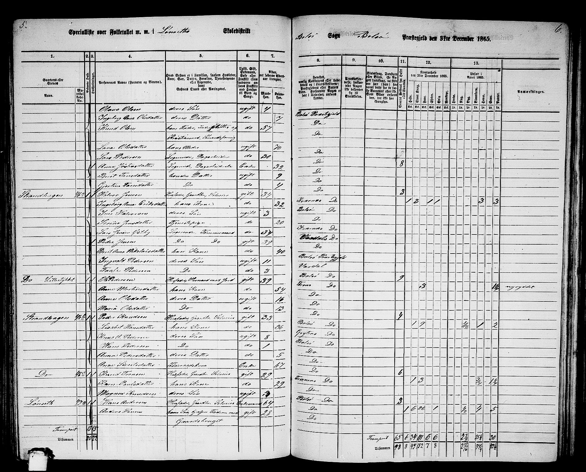 RA, 1865 census for Bolsøy, 1865, p. 51