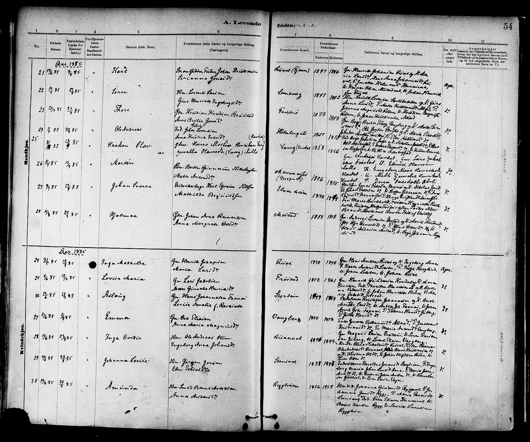 Ministerialprotokoller, klokkerbøker og fødselsregistre - Nord-Trøndelag, AV/SAT-A-1458/713/L0120: Parish register (official) no. 713A09, 1878-1887, p. 54