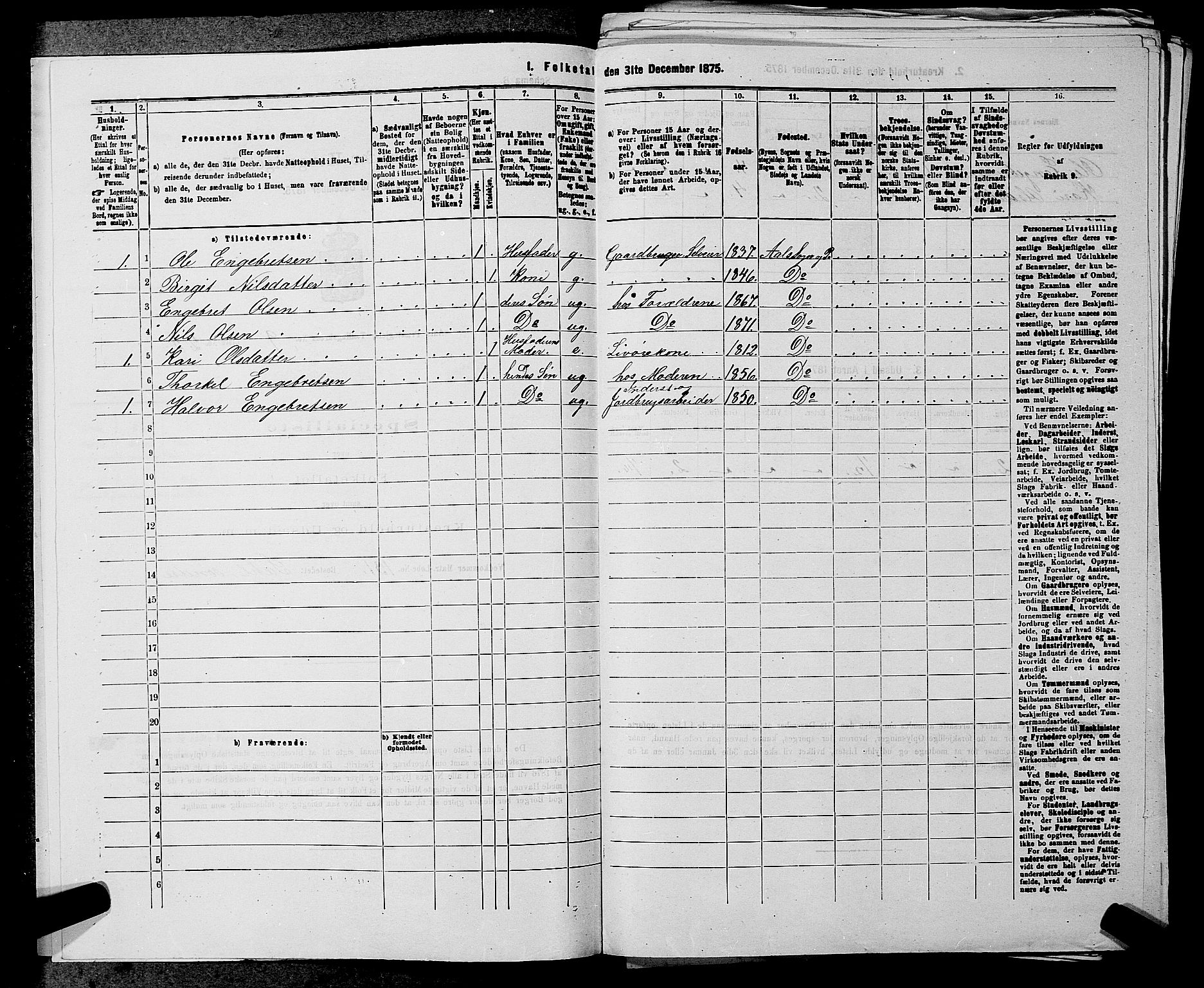 SAKO, 1875 census for 0619P Ål, 1875, p. 1142