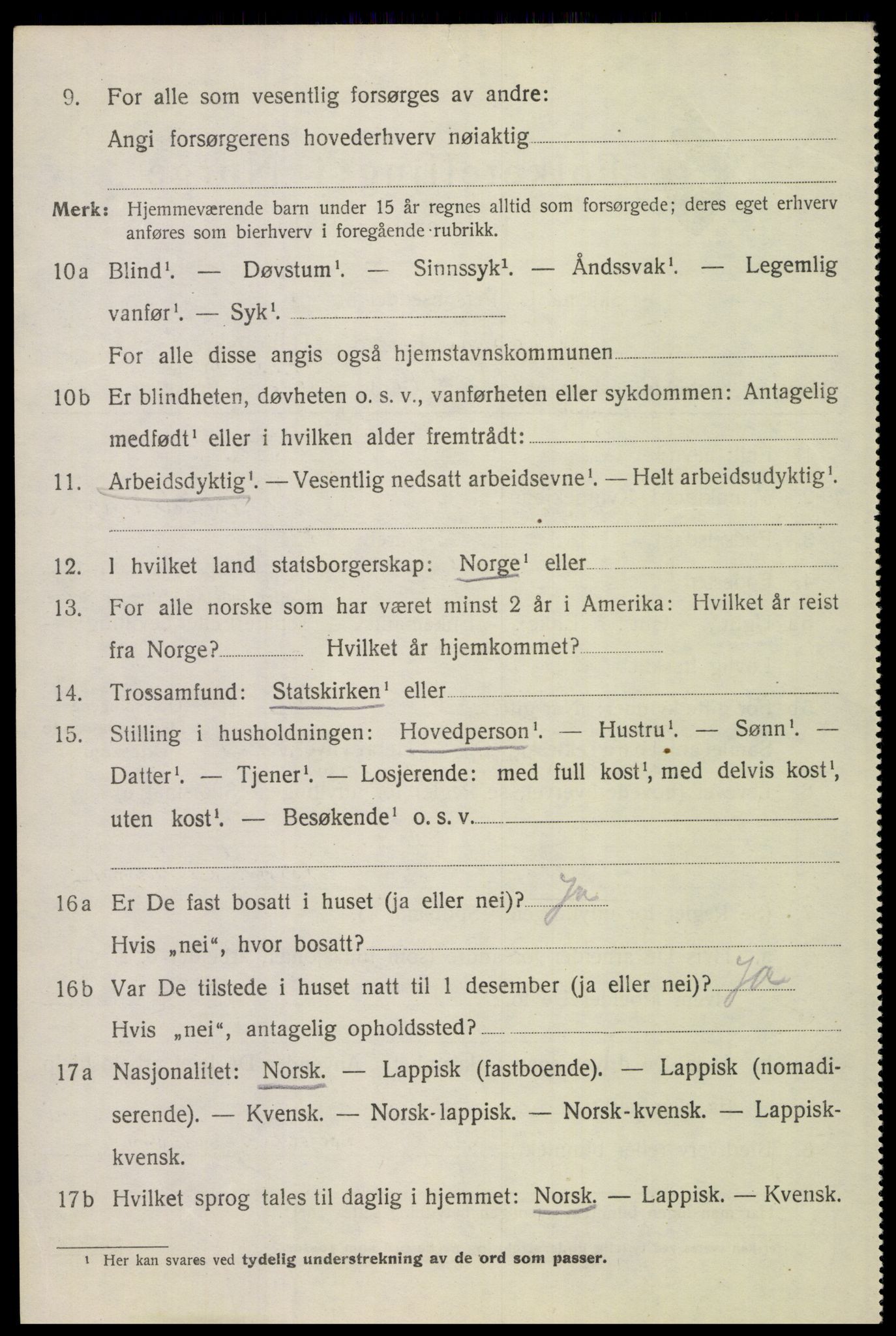 SAT, 1920 census for Bodin, 1920, p. 10875