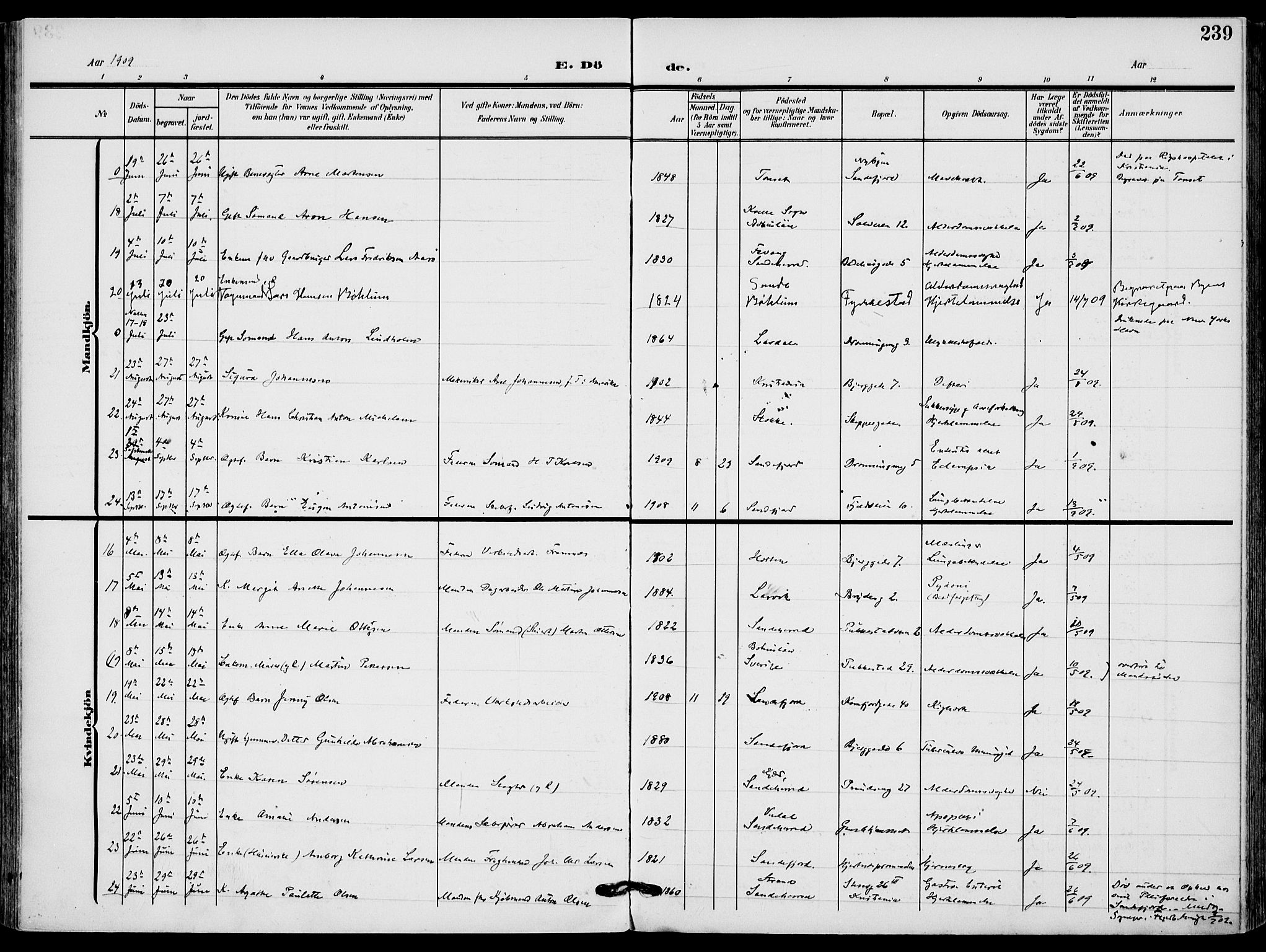 Sandefjord kirkebøker, AV/SAKO-A-315/F/Fa/L0005: Parish register (official) no. 5, 1906-1915, p. 239