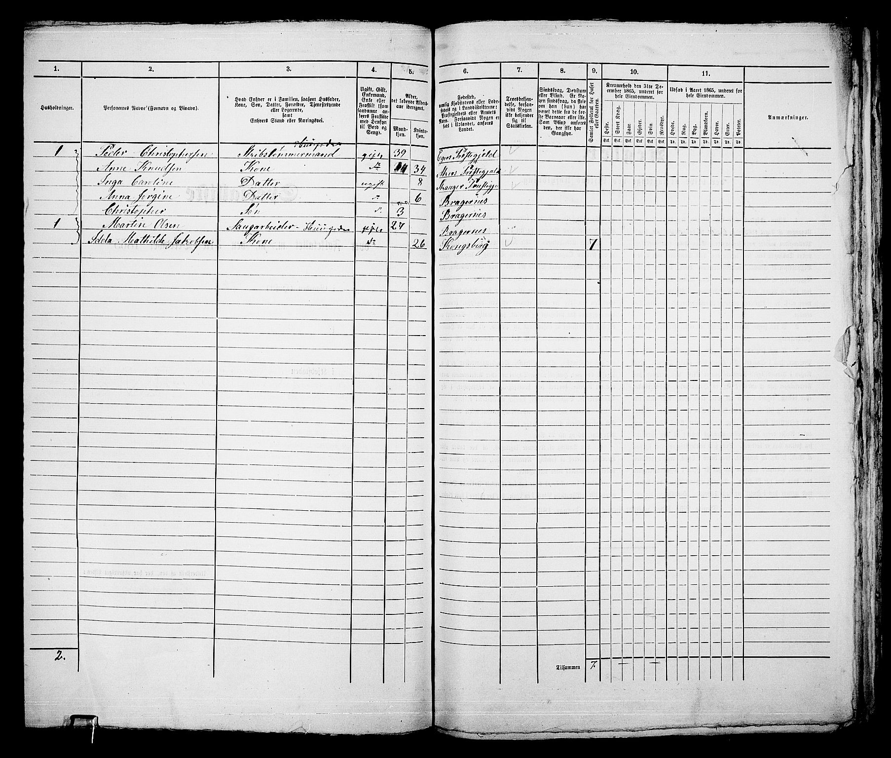 RA, 1865 census for Bragernes in Drammen, 1865, p. 513